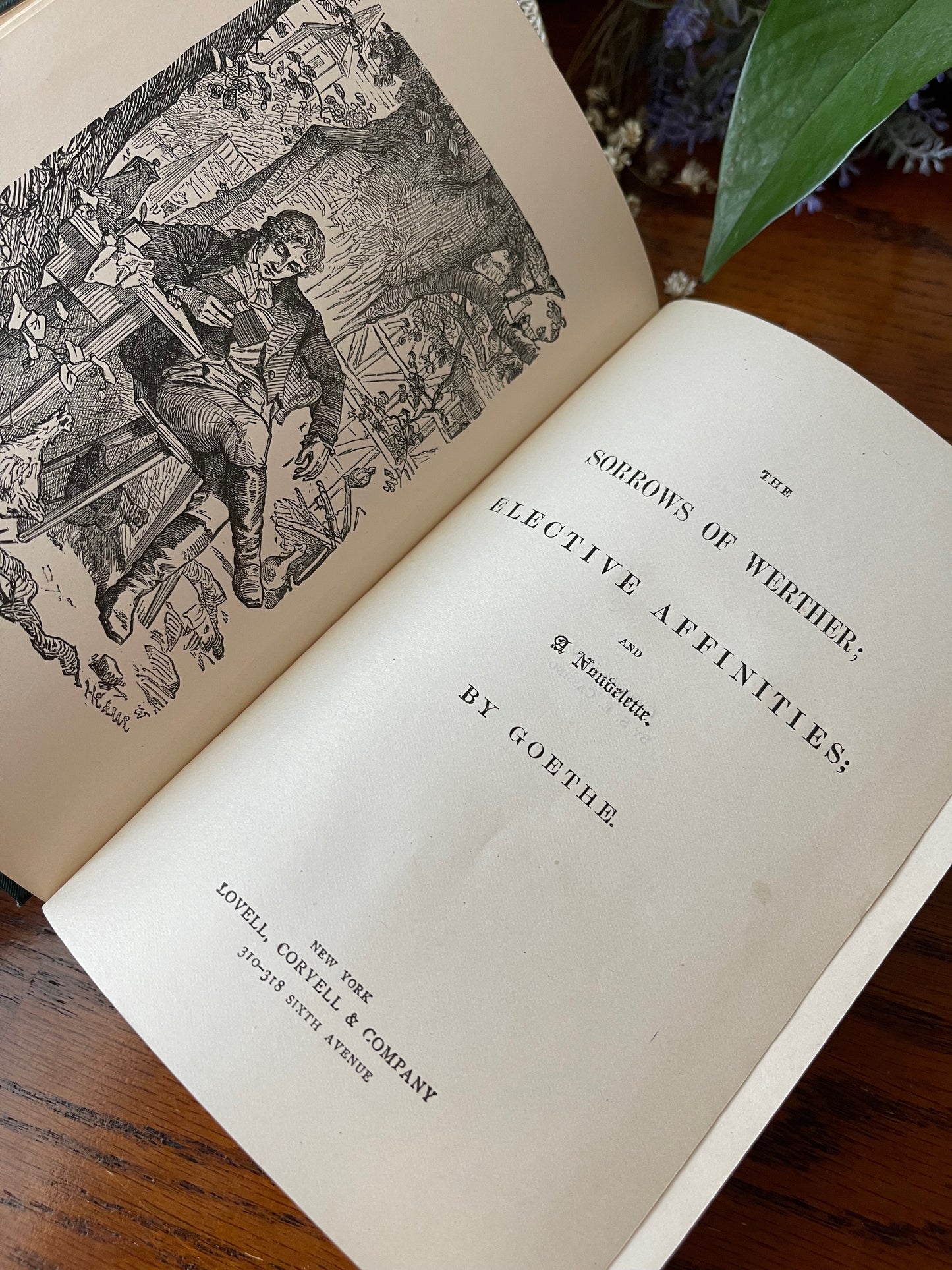 The works of Johann Wolfgang Von Goethe / 5 Volumes / 1882 - Precious Cache