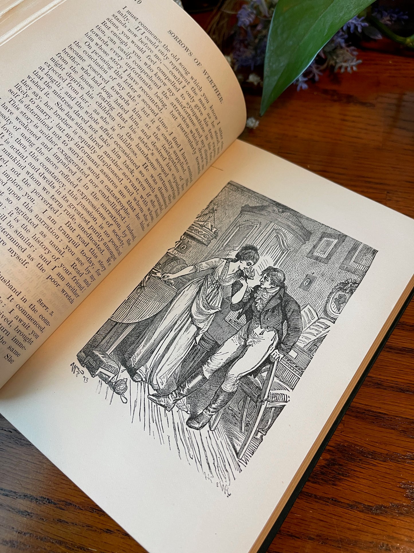 The works of Johann Wolfgang Von Goethe / 5 Volumes / 1882 - Precious Cache