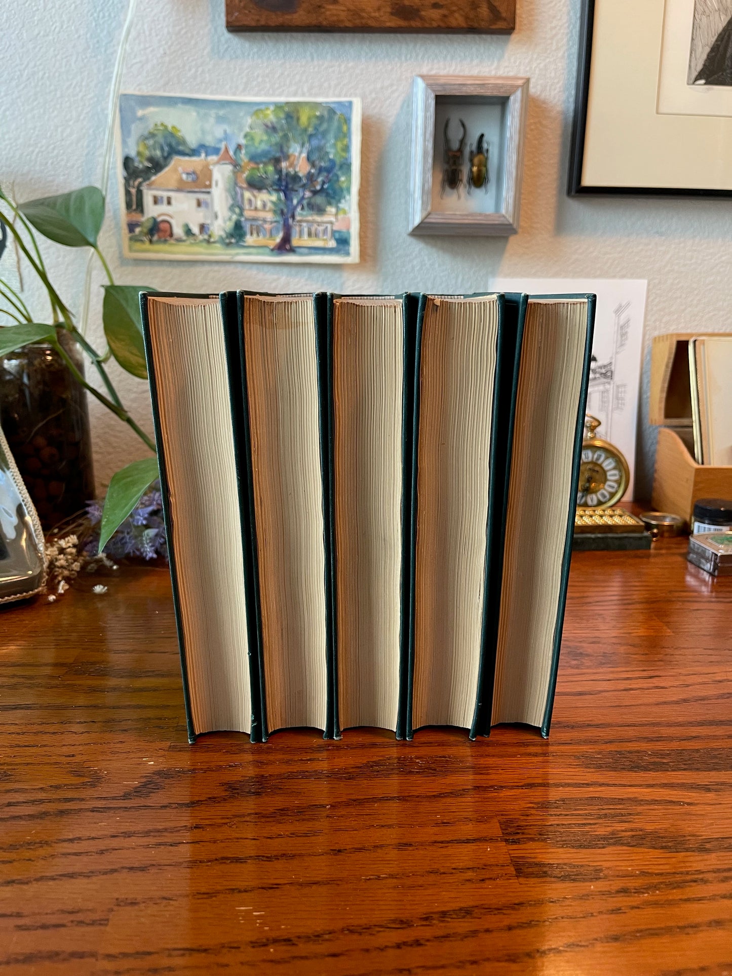 The works of Johann Wolfgang Von Goethe / 5 Volumes / 1882 - Precious Cache