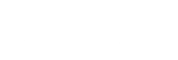 Precious Cache