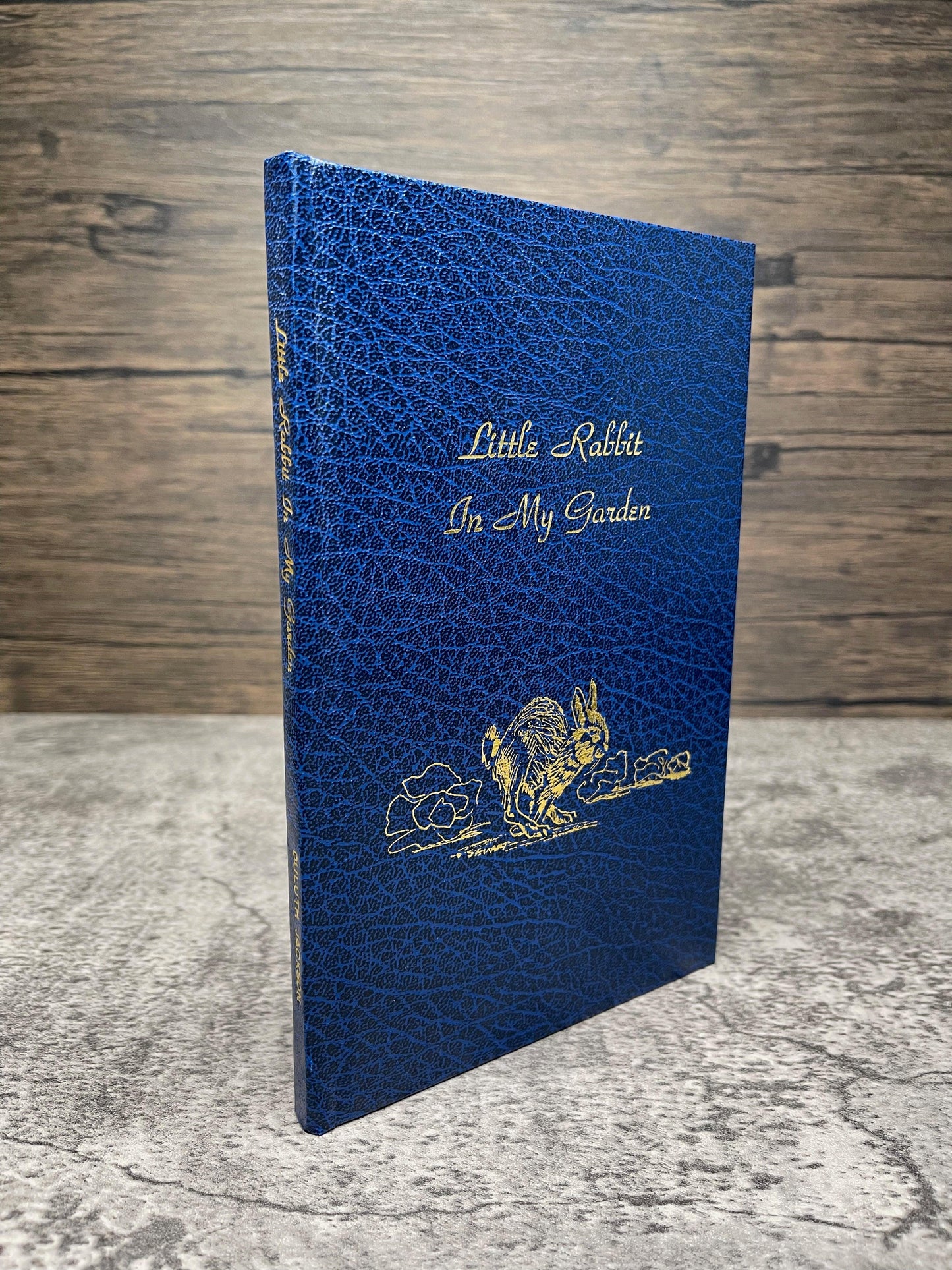 Little Rabbit in My Garden / First Edition / Rare / 1990 - Precious Cache