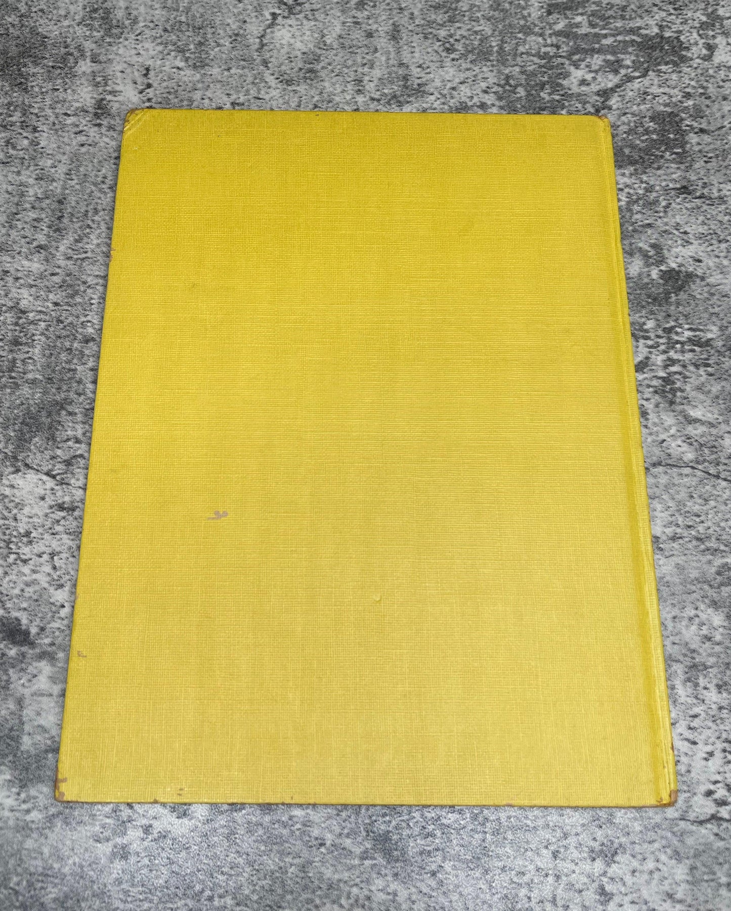 The King's Stilts - Precious Cache