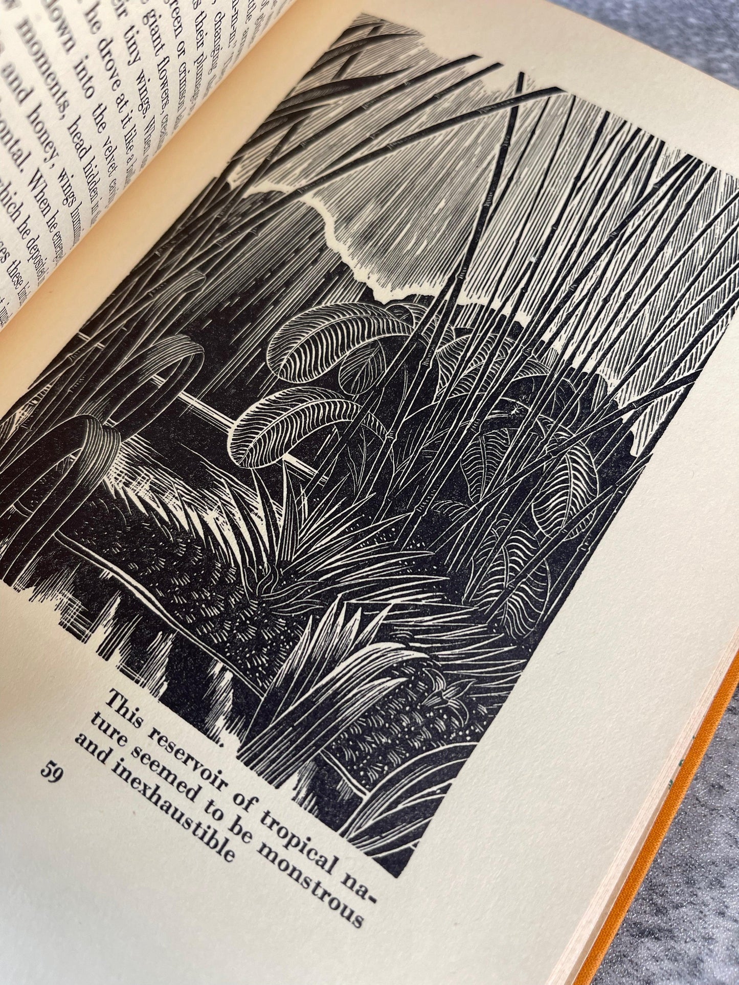 Voodoo Fire in Haiti / First Edition / Book Club Edition (BCE) - Precious Cache