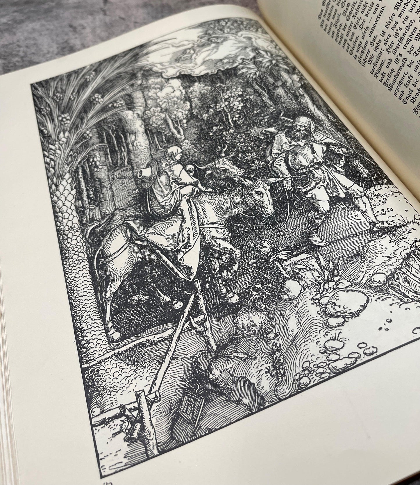 Albrecht Dürer and his life and a selection of his works / 1923 - Precious Cache