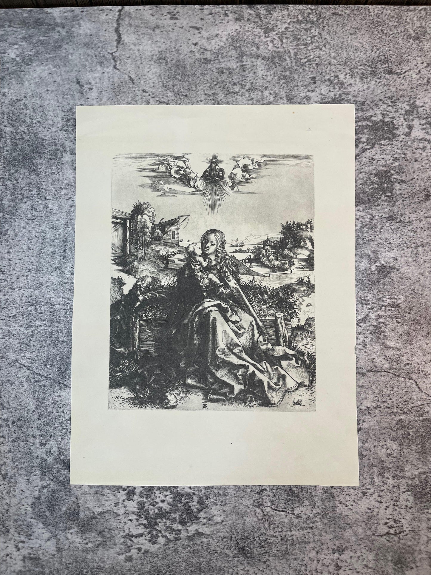 Albrecht Dürer and his life and a selection of his works / 1923 - Precious Cache