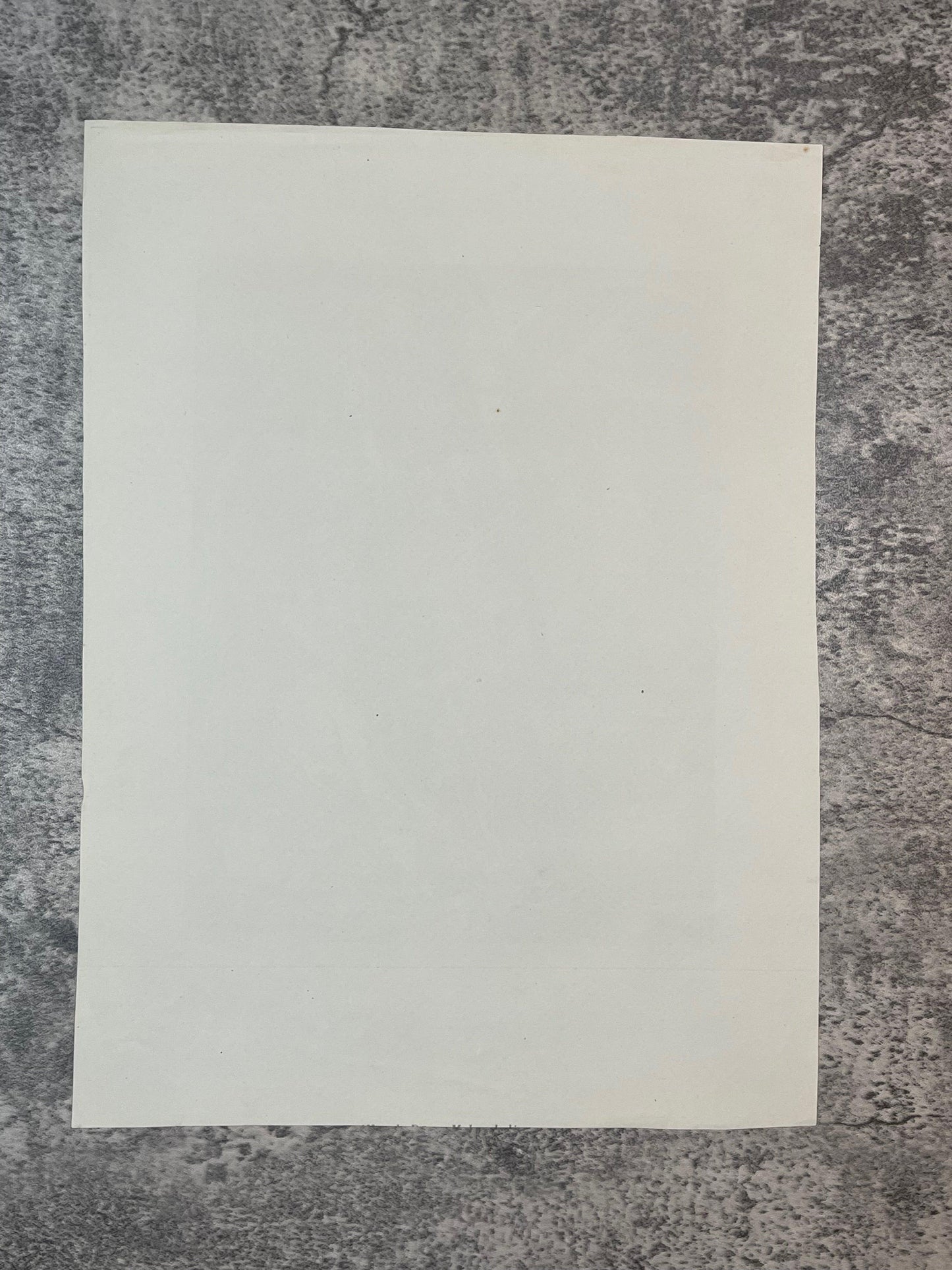 Albrecht Dürer and his life and a selection of his works / 1923 - Precious Cache