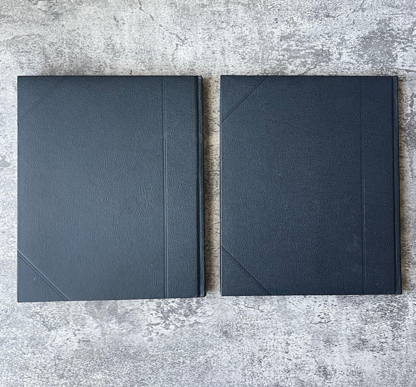 The Explorers & The Pirates / Lot of 2 books - Precious Cache