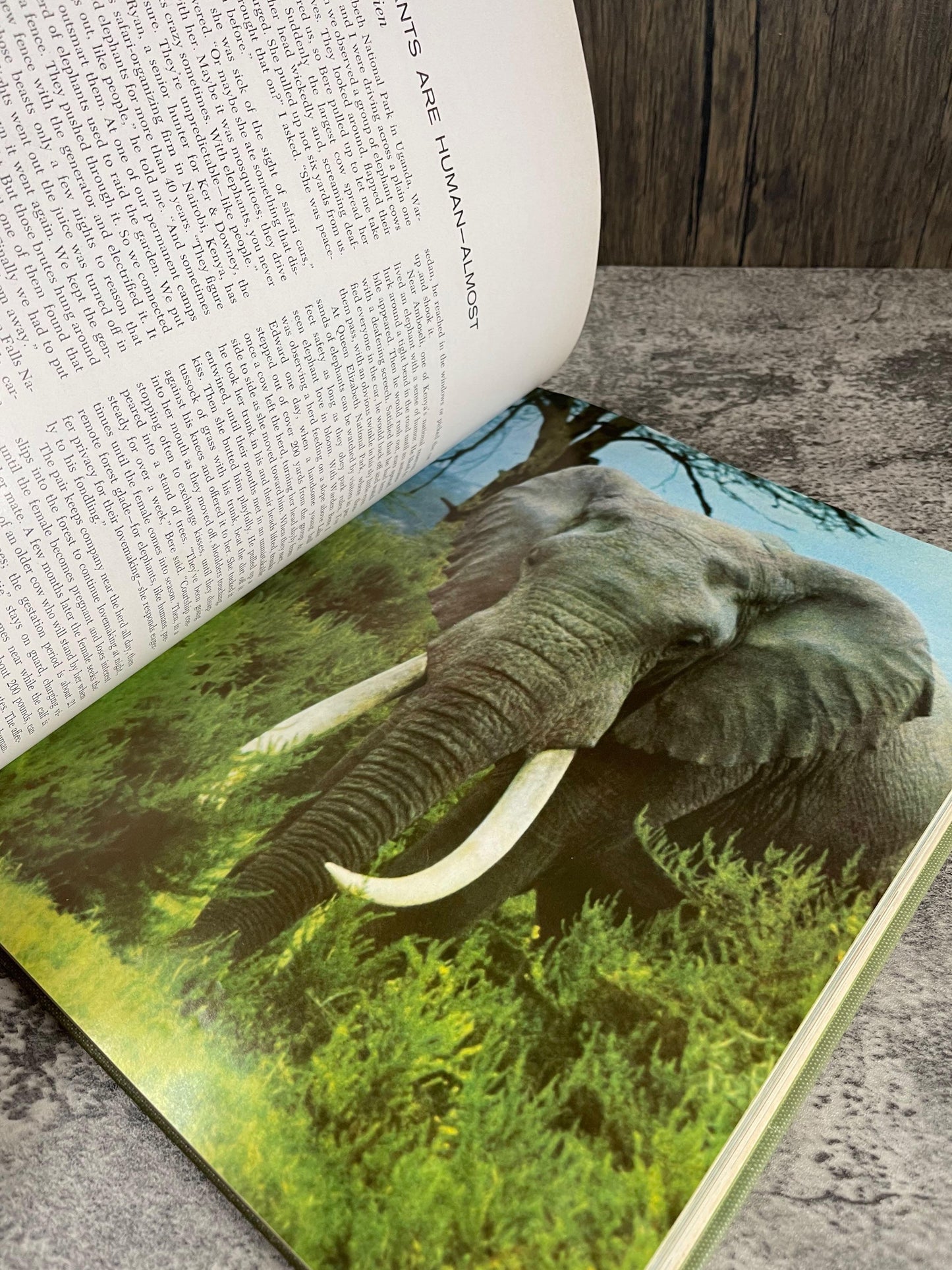 Marvels and Mysteries of Our Animal World / 1964 - Precious Cache