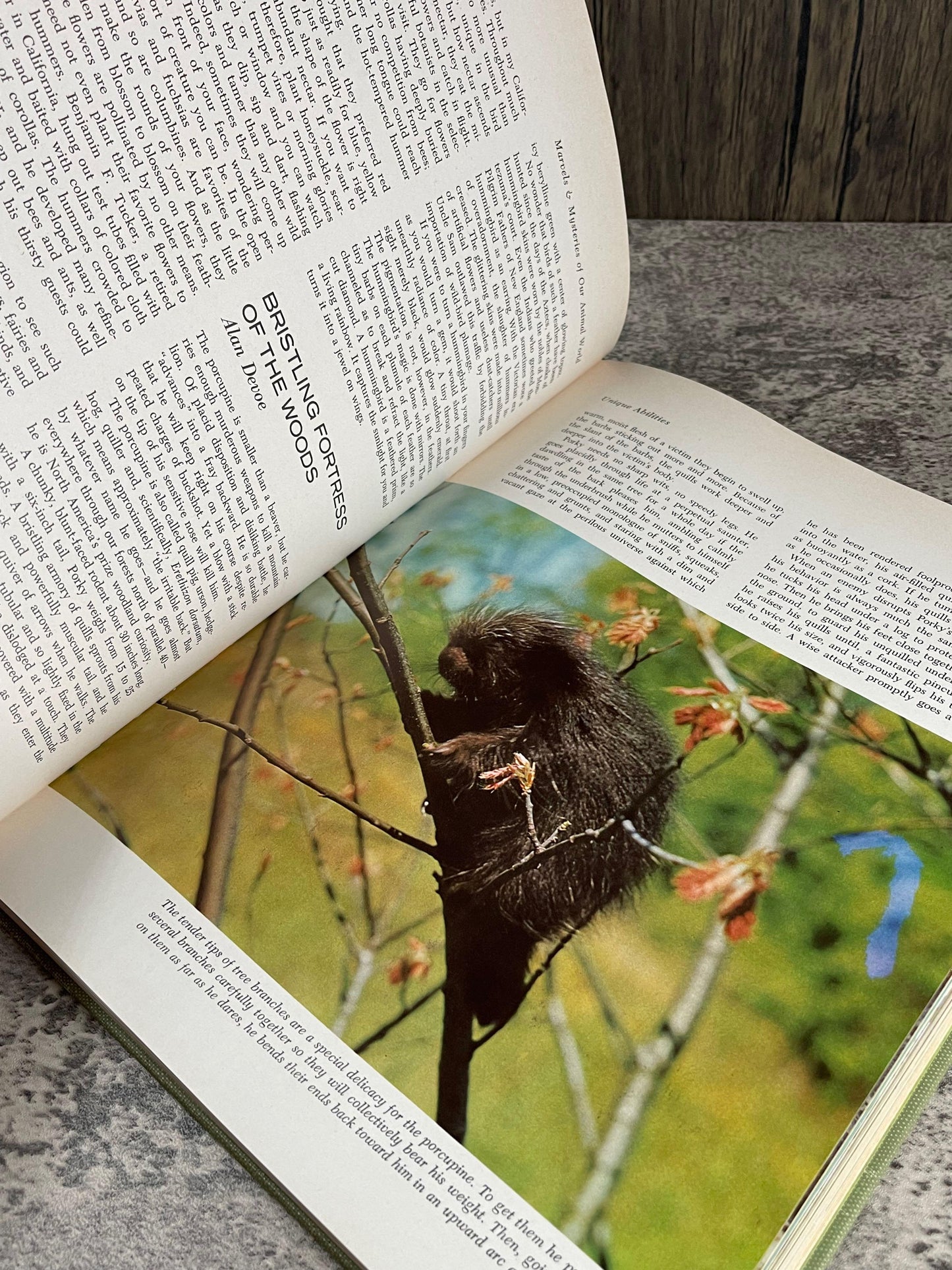Marvels and Mysteries of Our Animal World / 1964 - Precious Cache