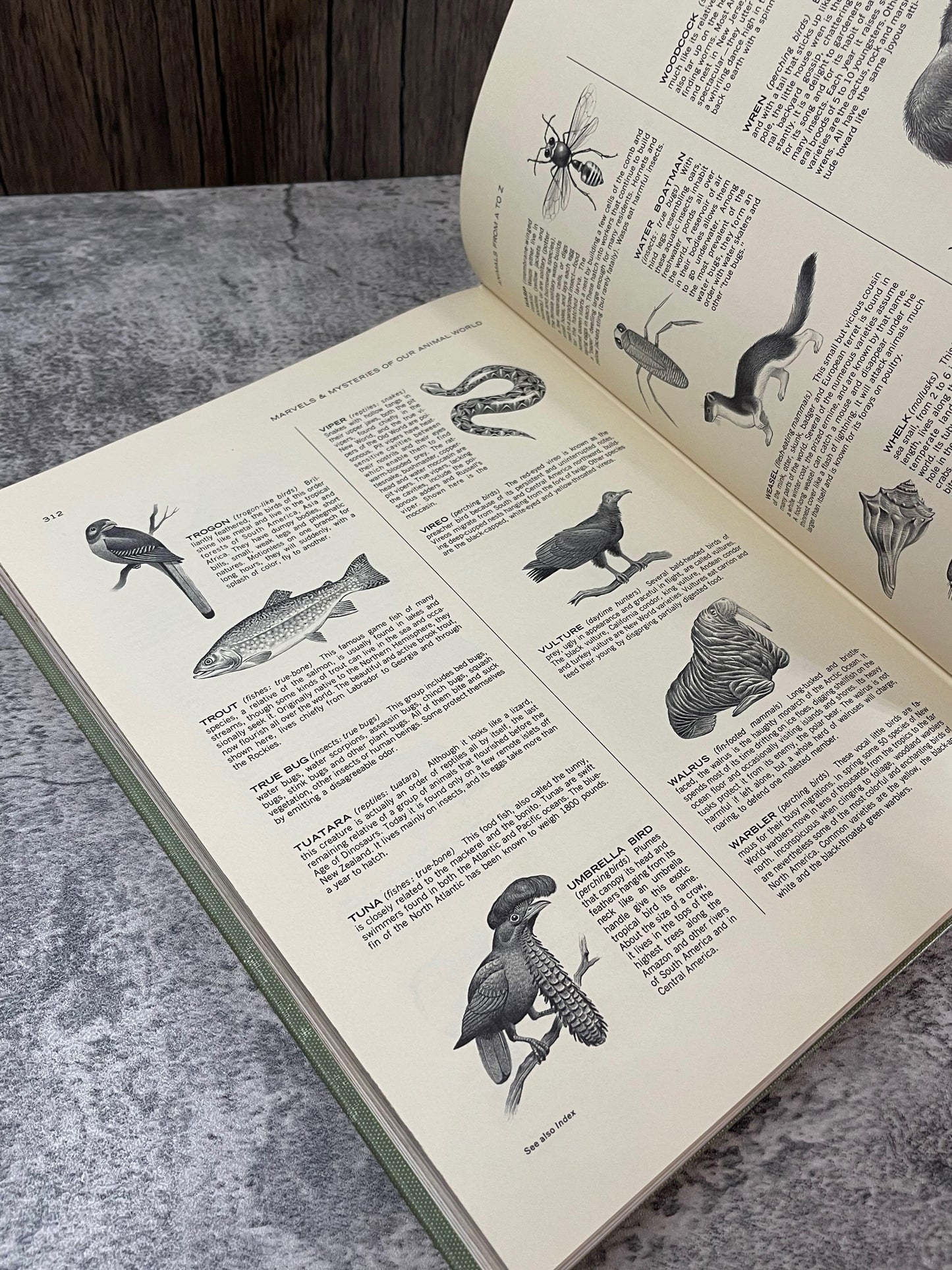 Marvels and Mysteries of Our Animal World / 1964 - Precious Cache