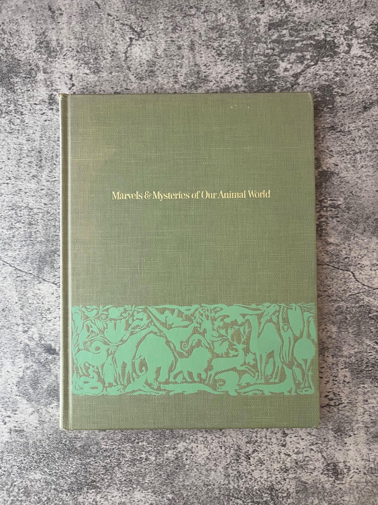 Marvels and Mysteries of Our Animal World / 1964 - Precious Cache