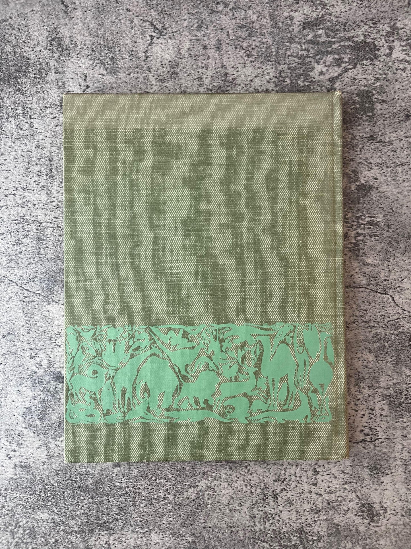 Marvels and Mysteries of Our Animal World / 1964 - Precious Cache