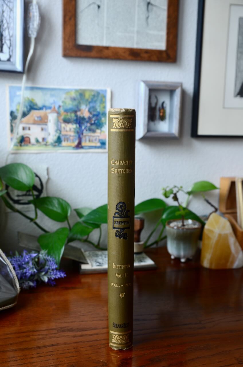 Character Sketches of Romance, Fiction and The Drama / Vol. III / 1896