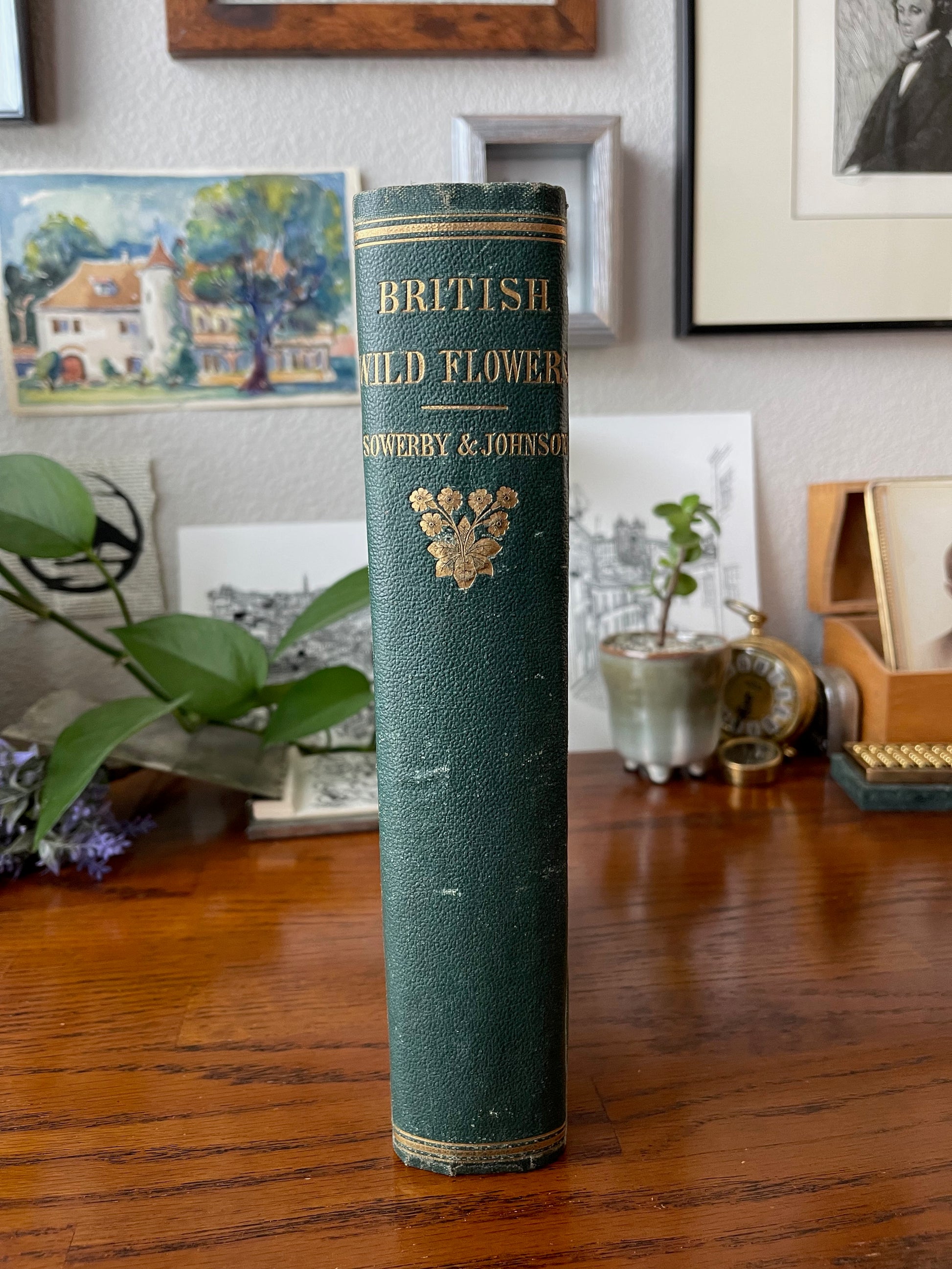 British Wild Flowers / MDCCCLXIII (1863) - Precious Cache