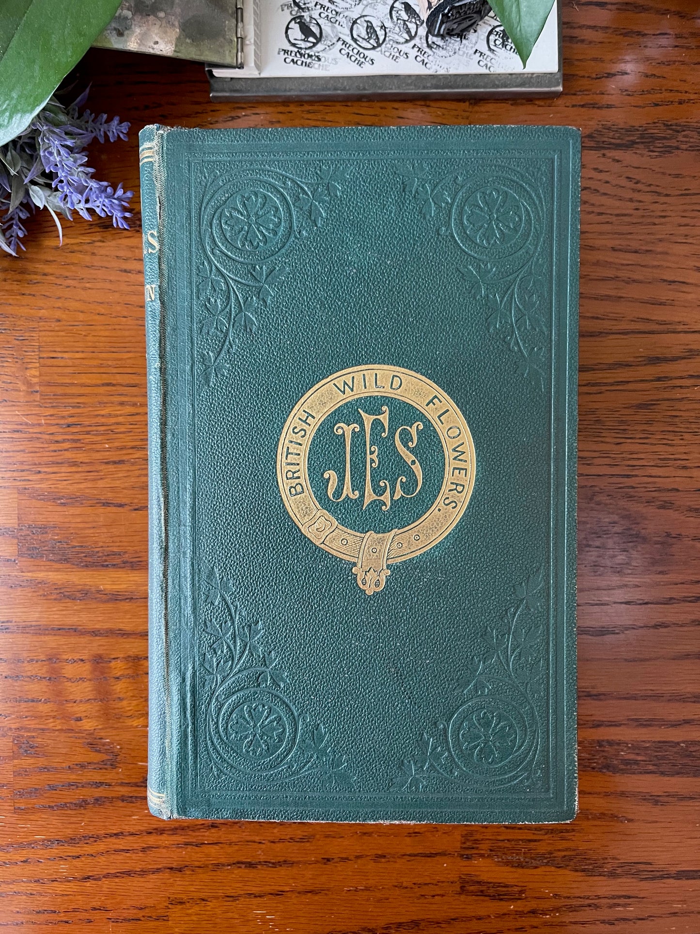 British Wild Flowers / MDCCCLXIII (1863) - Precious Cache