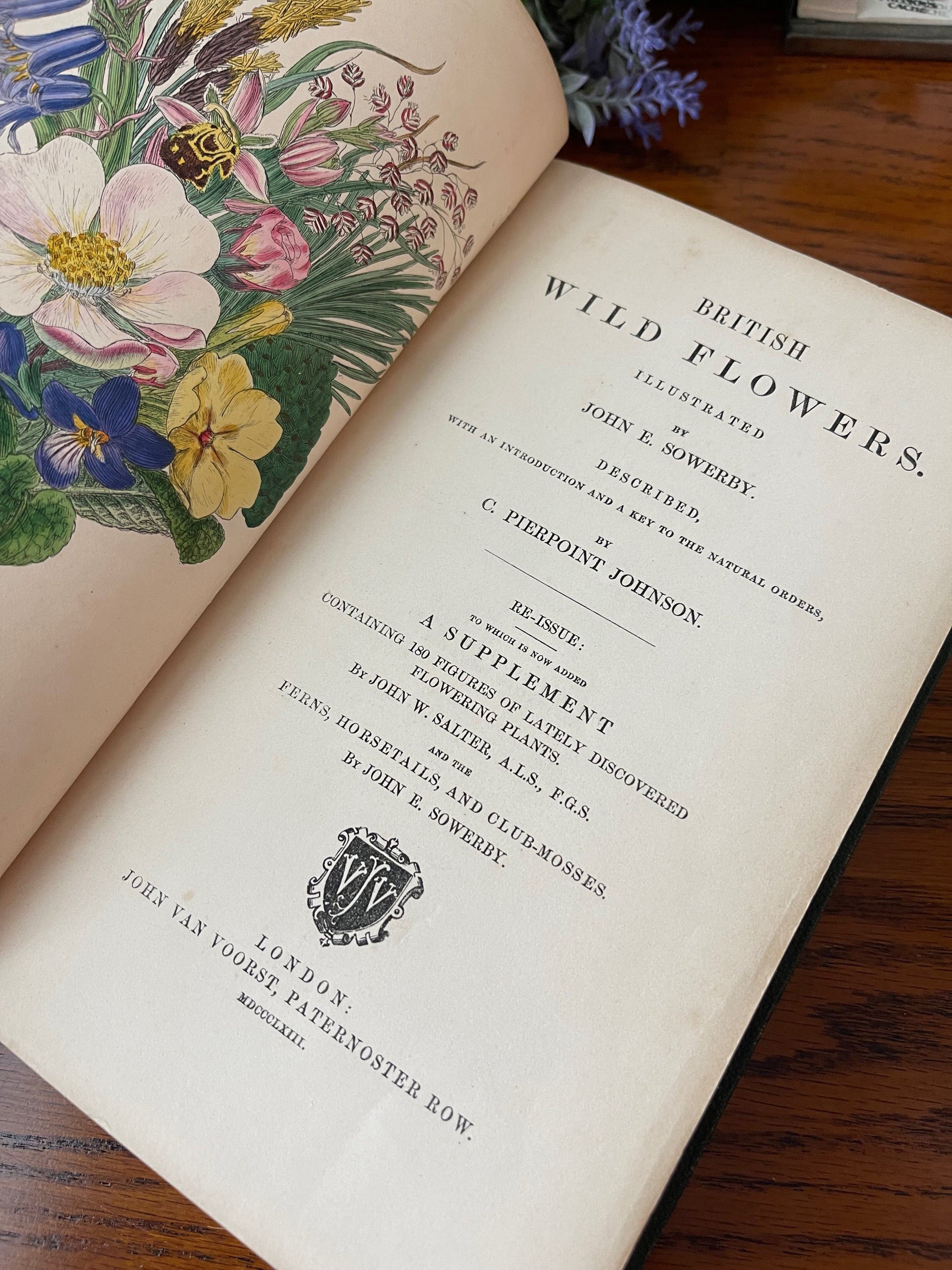 British Wild Flowers / MDCCCLXIII (1863) - Precious Cache