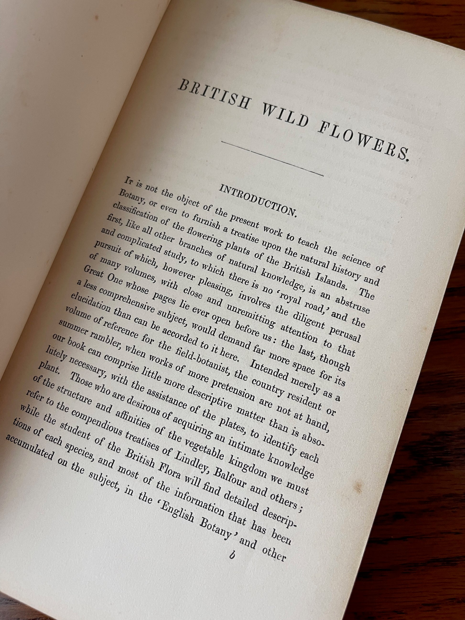 British Wild Flowers / MDCCCLXIII (1863) - Precious Cache