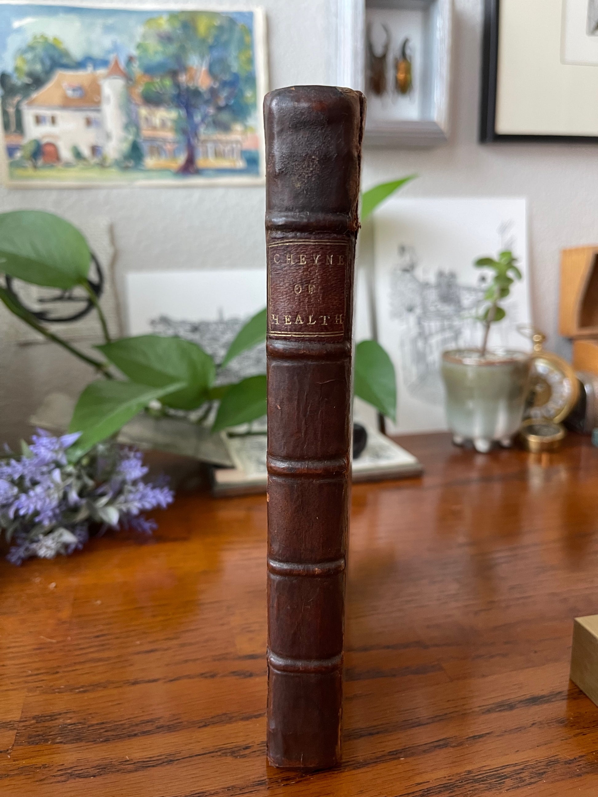 An Essay Of Health And Long Life / 1725 - Precious Cache