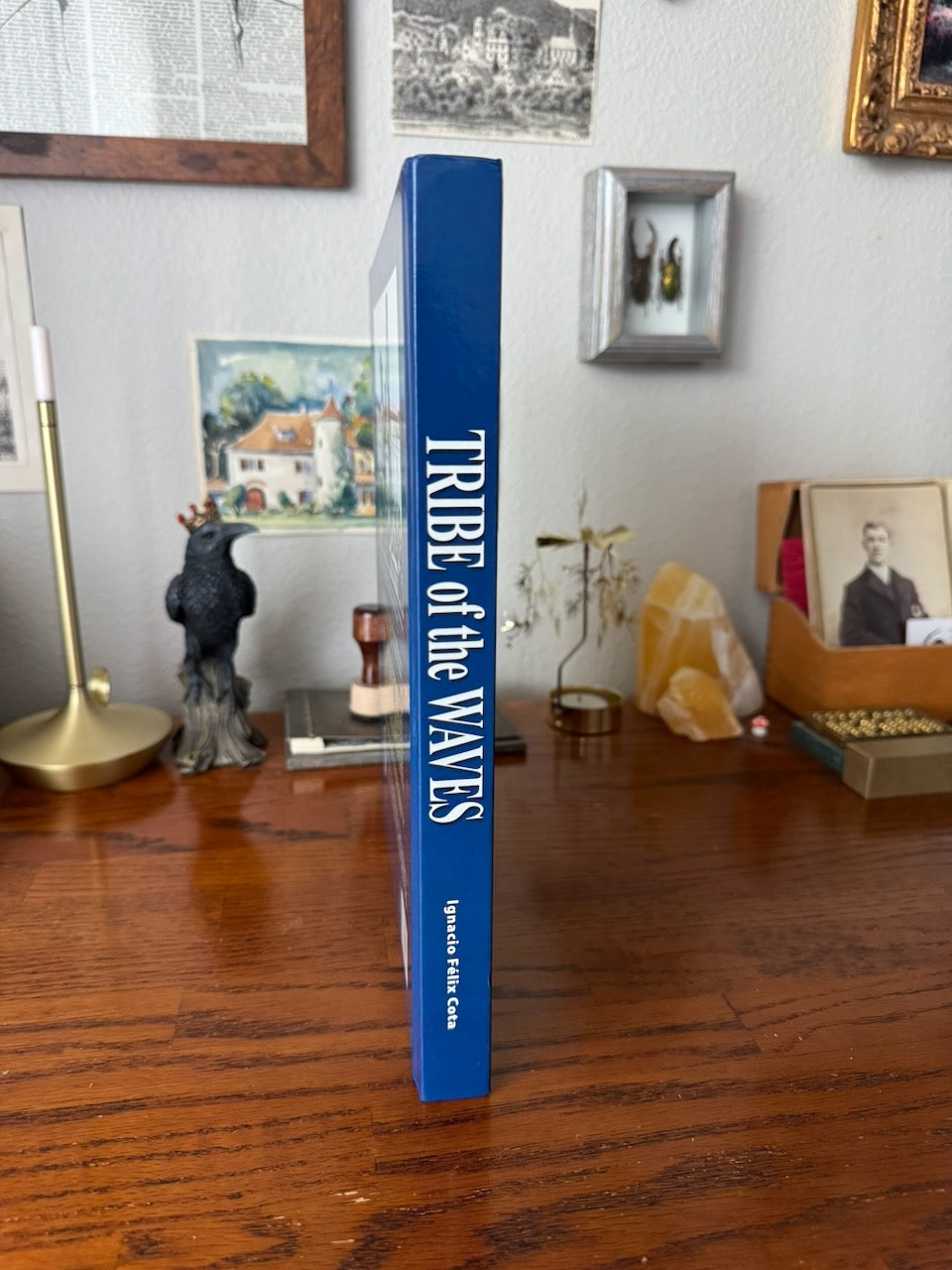 Tribe Of Waves: Memories Of Mexican Surfing / First Edition / By Ignacio Felix Cota