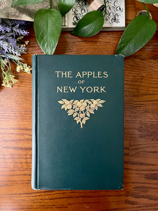 The Apples of New York / 1905