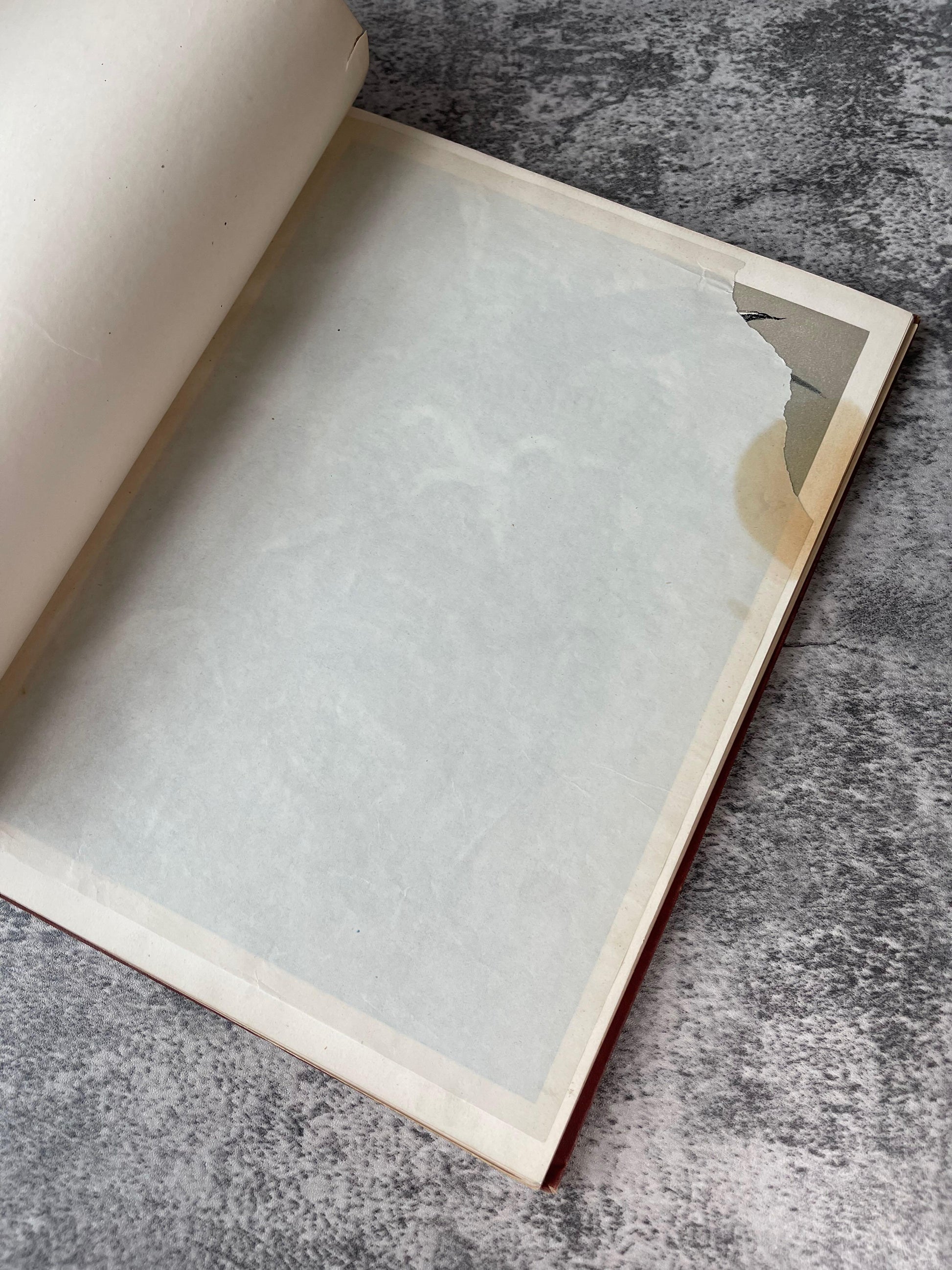 Indian Summer Autumn Poems and Sketches / First Edition / 1881 - Precious Cache