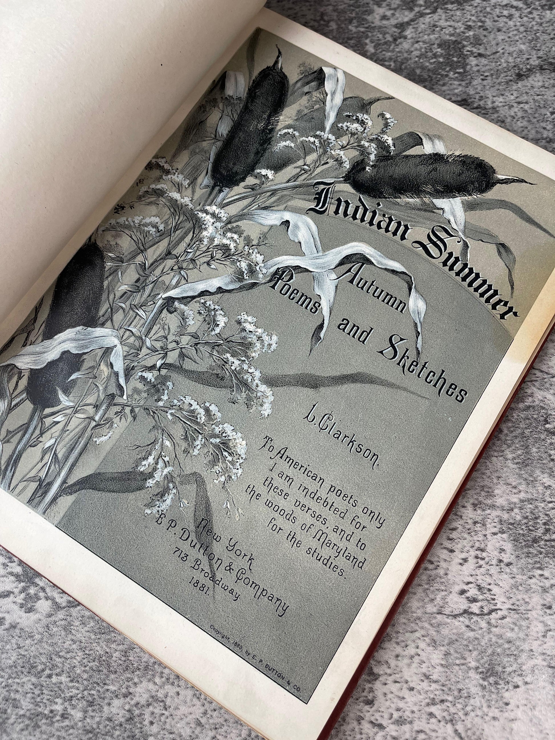 Indian Summer Autumn Poems and Sketches / First Edition / 1881 - Precious Cache