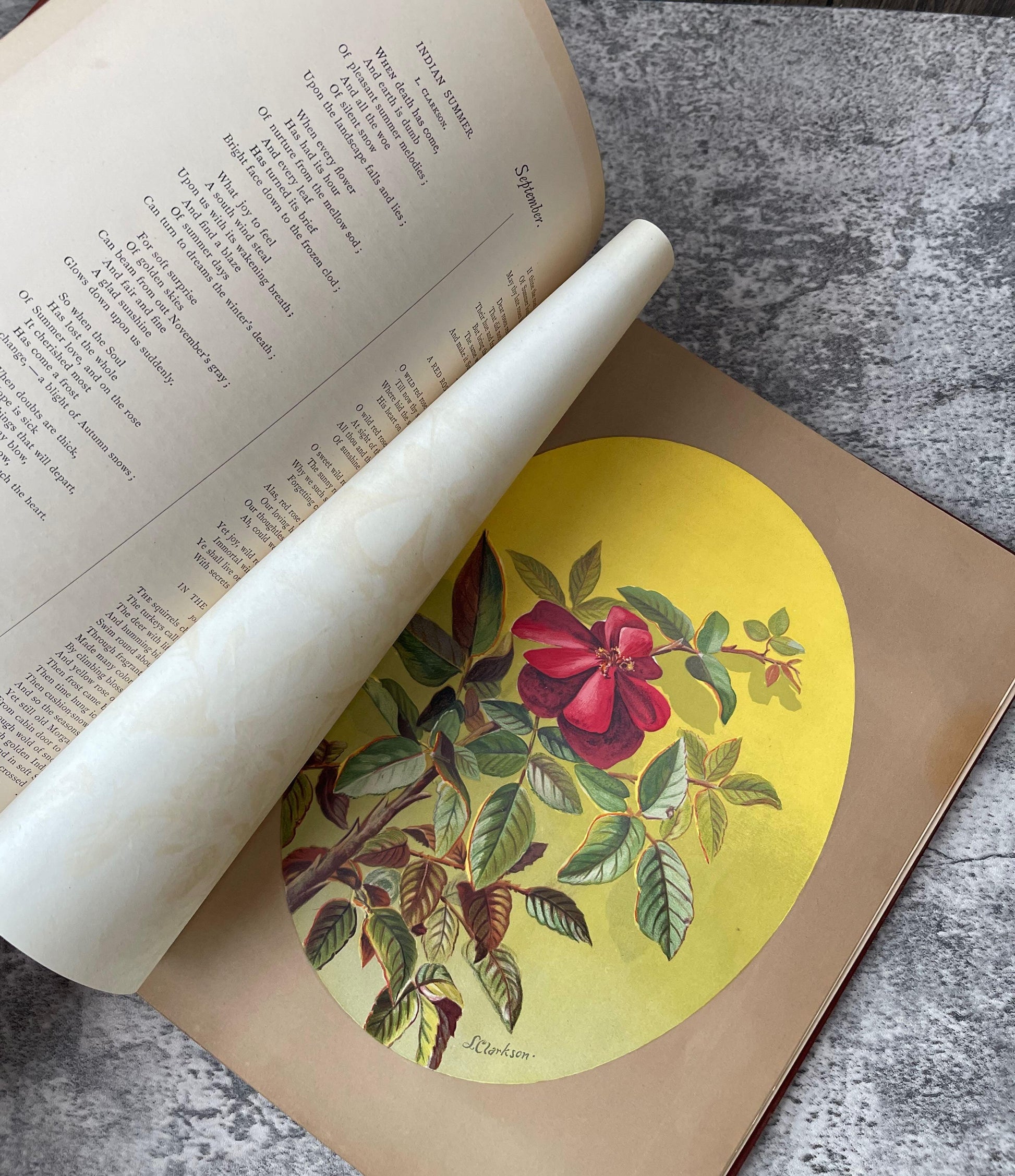 Indian Summer Autumn Poems and Sketches / First Edition / 1881 - Precious Cache