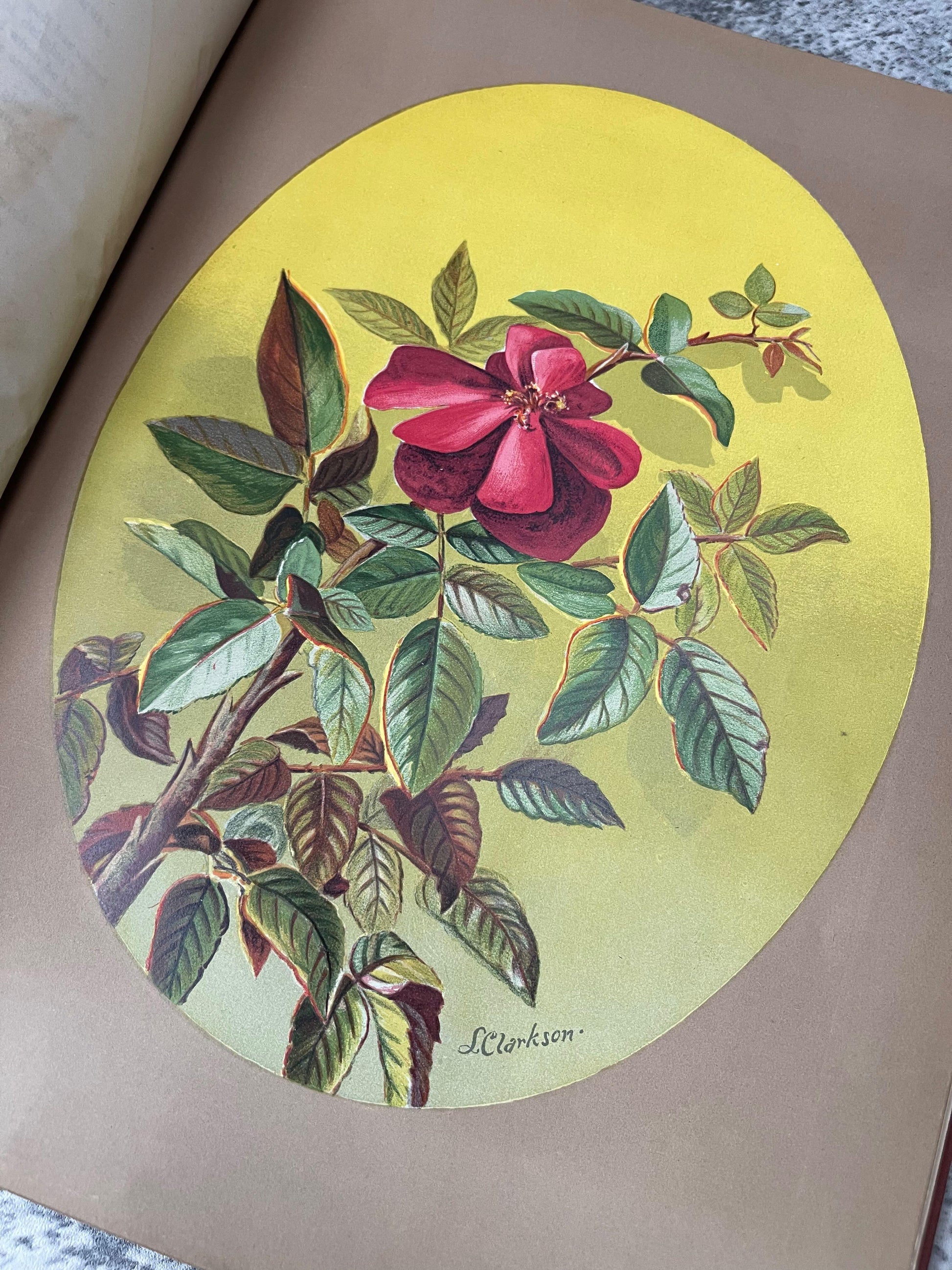 Indian Summer Autumn Poems and Sketches / First Edition / 1881 - Precious Cache
