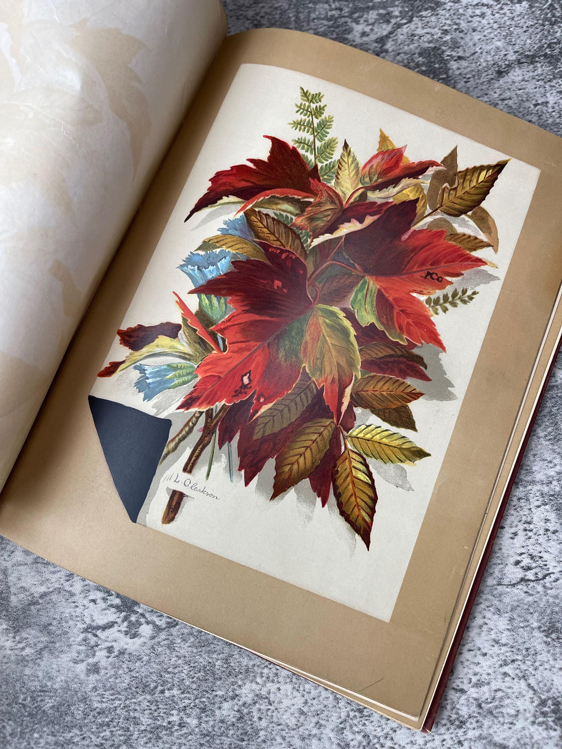 Indian Summer Autumn Poems and Sketches / First Edition / 1881 - Precious Cache