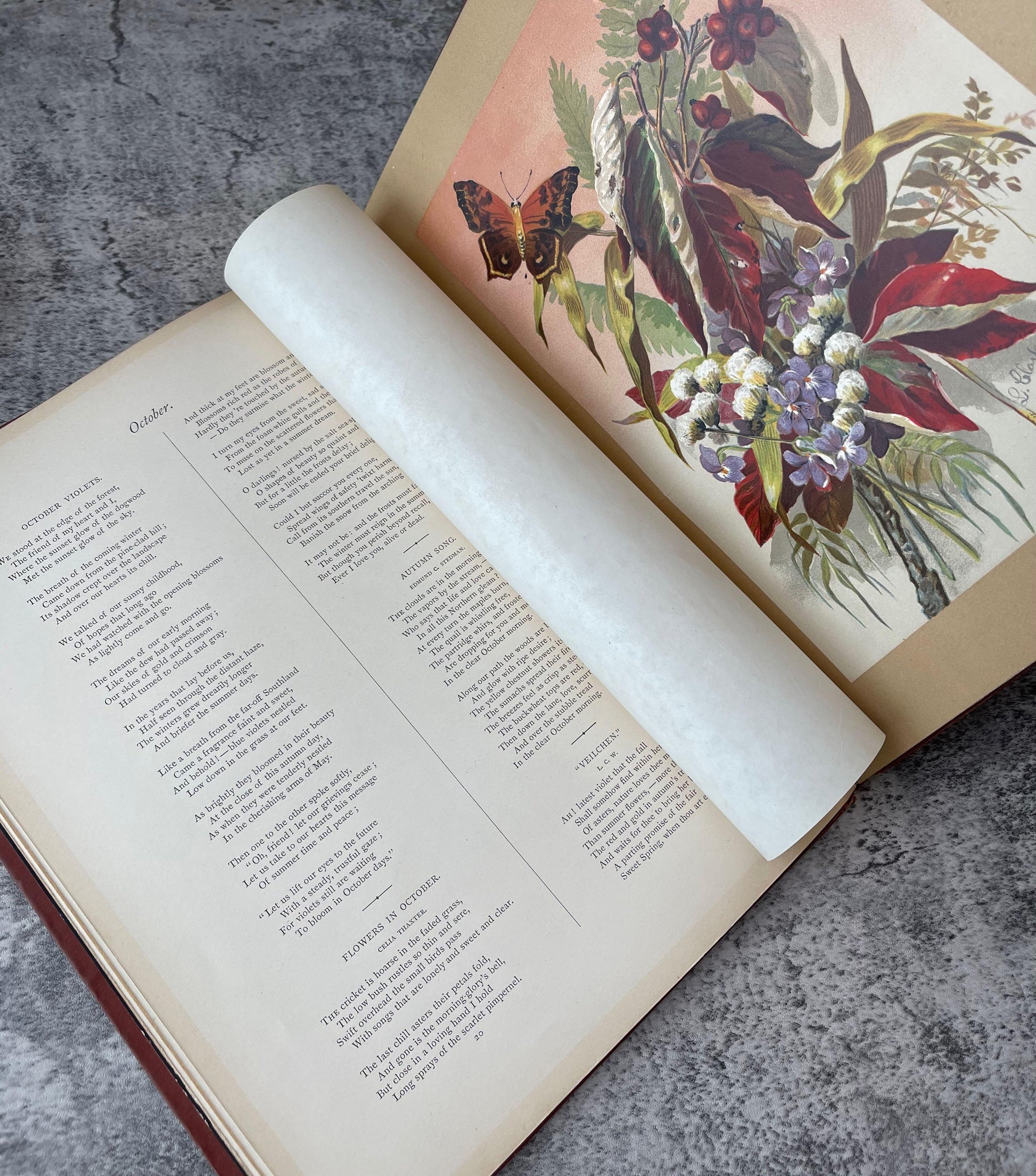 Indian Summer Autumn Poems and Sketches / First Edition / 1881 - Precious Cache