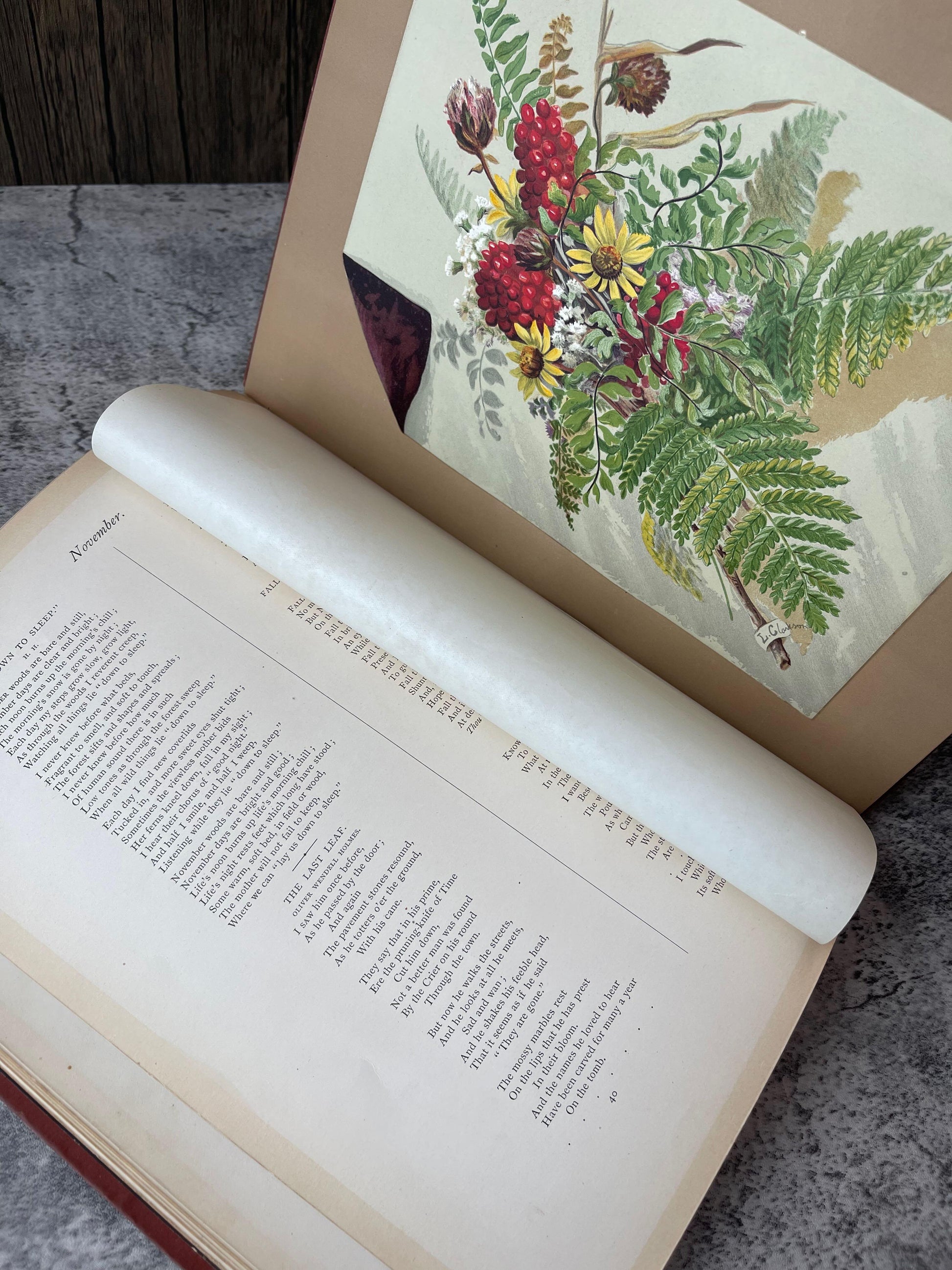 Indian Summer Autumn Poems and Sketches / First Edition / 1881 - Precious Cache