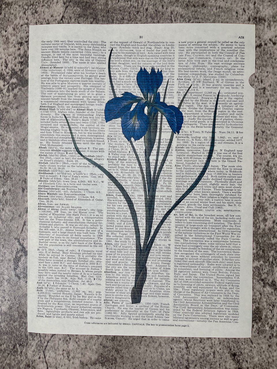 Encyclopedia Prints / Great Flower Book of the 1700-1900 - Precious Cache
