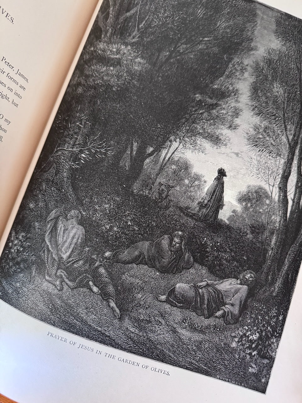 Dante's Inferno / Paradise Lost / Purgatory and Paradises / Bible Gallery