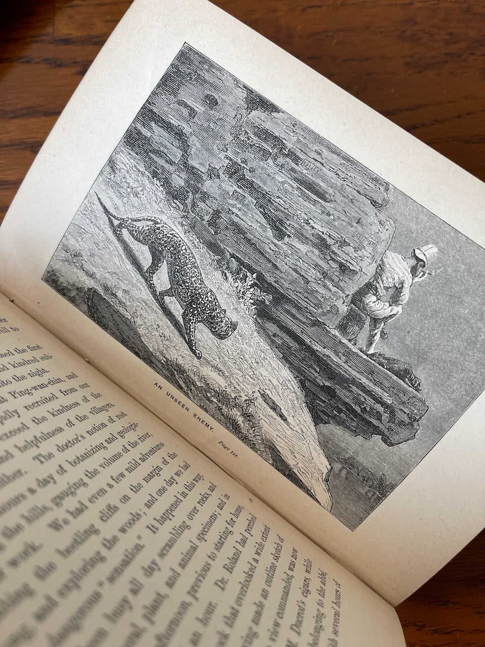 Beyond the Himalayas / 1884 - Precious Cache