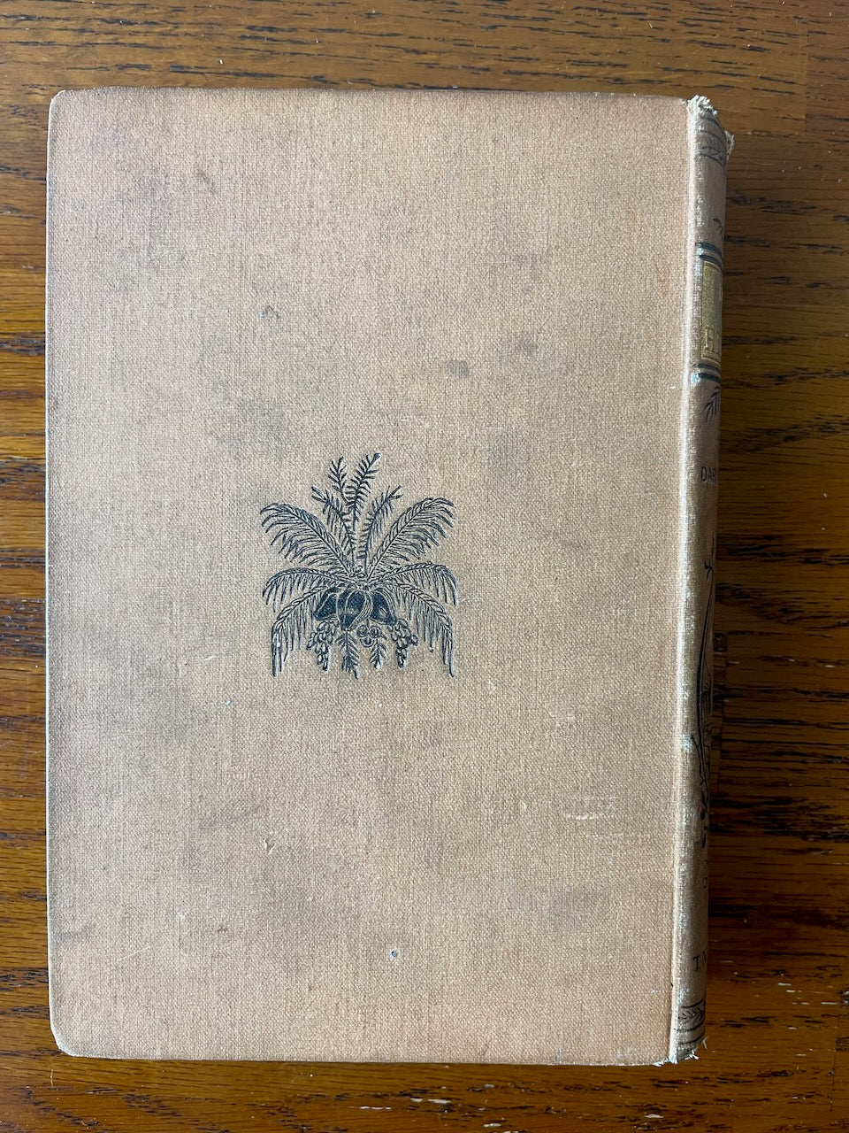 Beyond the Himalayas / 1884 - Precious Cache