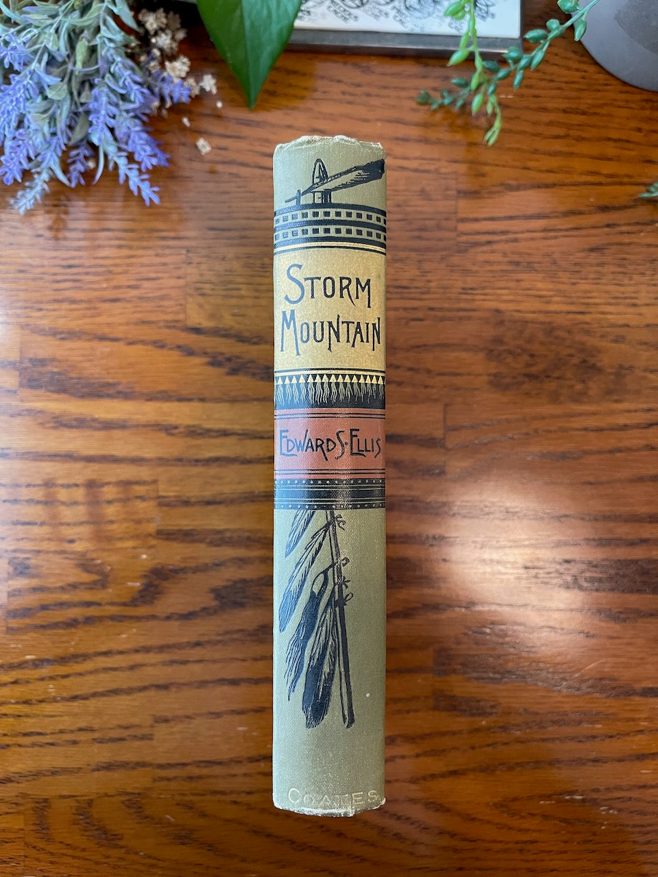 Storm Mountain Wyoming Series / 1889 - Precious Cache