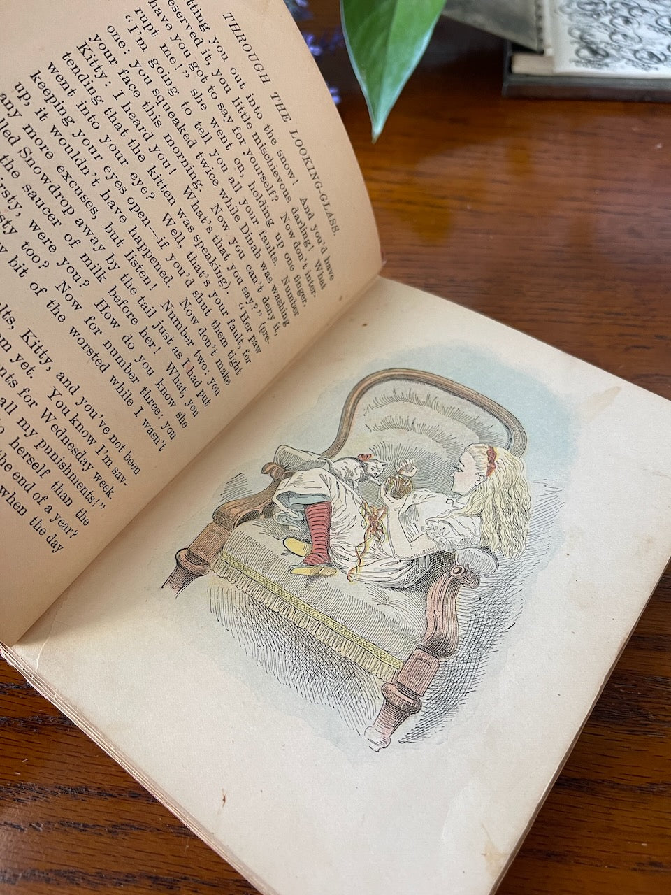 Through the Looking-Glass / 43 color illustrations / 1899 - Precious Cache