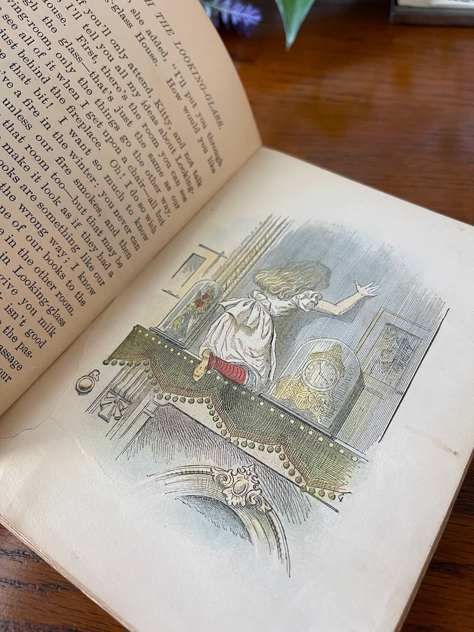 Through the Looking-Glass / 43 color illustrations / 1899 - Precious Cache