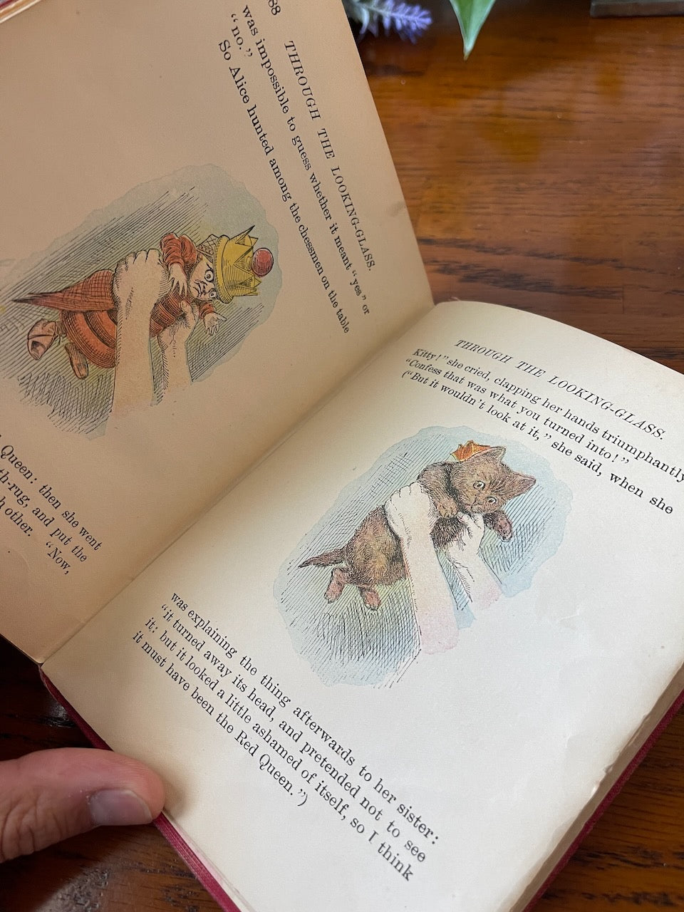 Through the Looking-Glass / 43 color illustrations / 1899 - Precious Cache