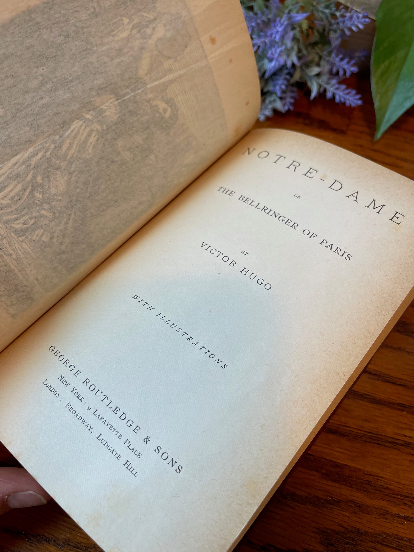 Hunchback of Notre Dame / Illustrated Edition / ca. 1888 - Precious Cache