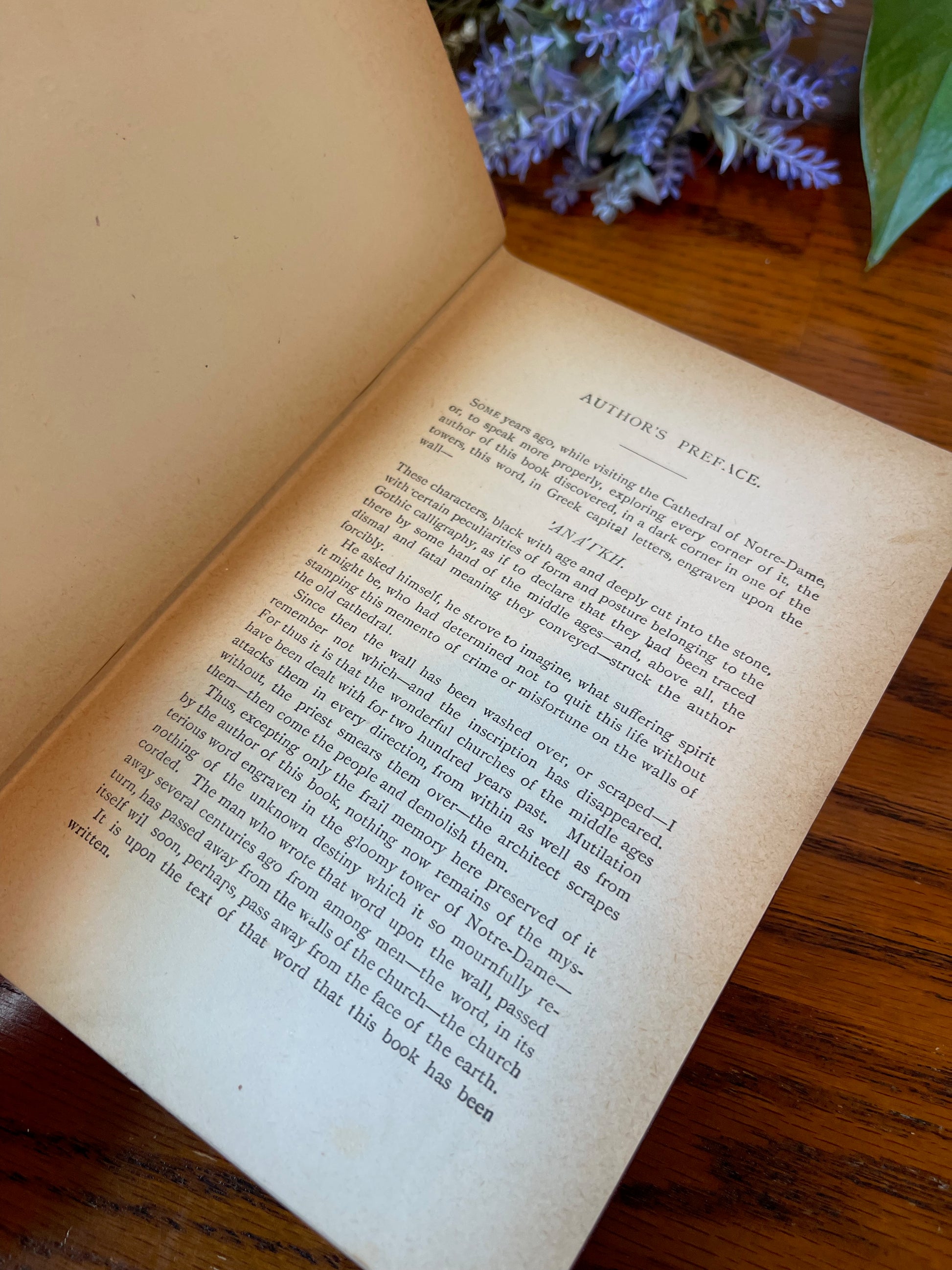 Hunchback of Notre Dame / Illustrated Edition / ca. 1888 - Precious Cache
