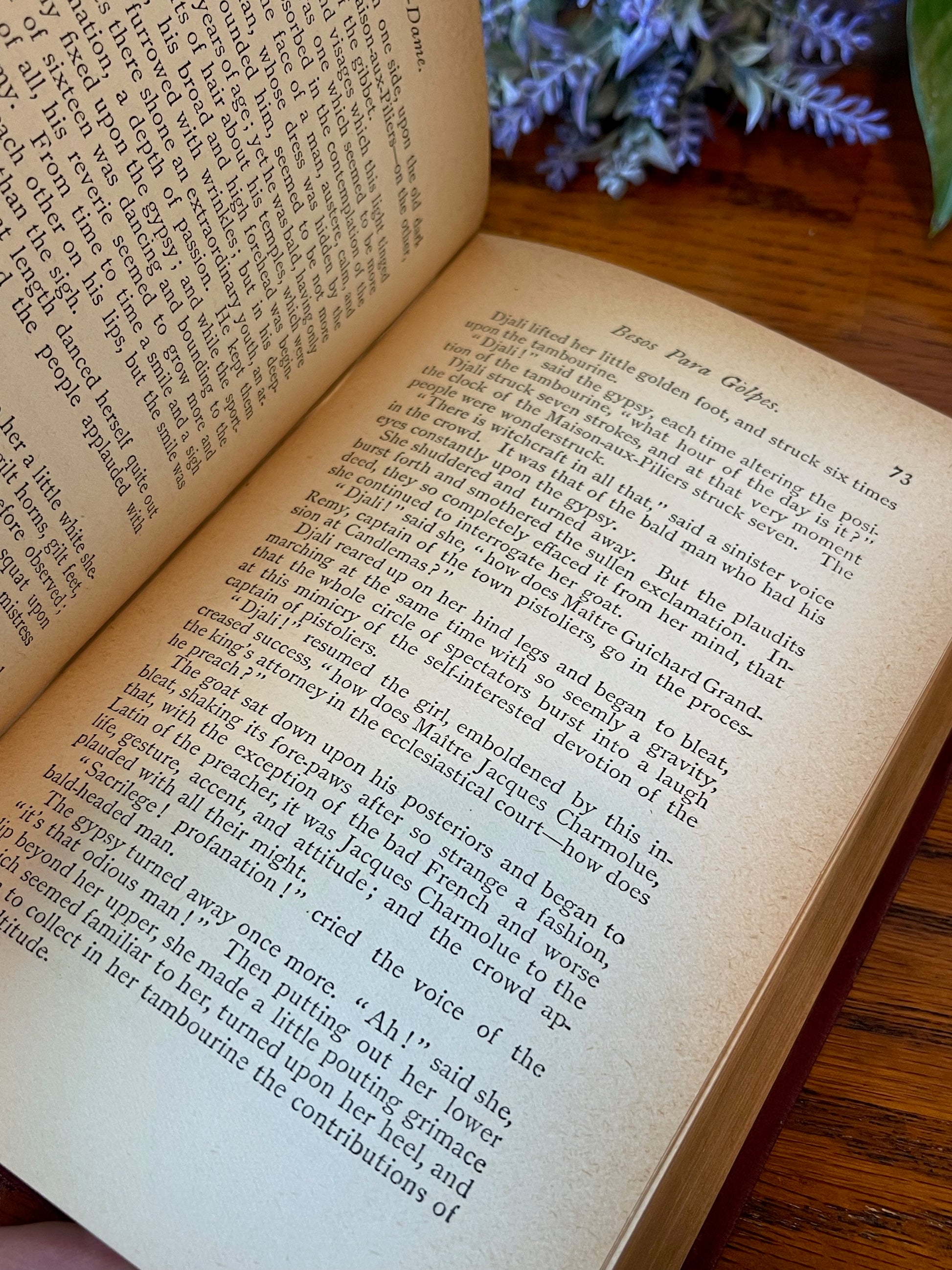Hunchback of Notre Dame / Illustrated Edition / ca. 1888 - Precious Cache