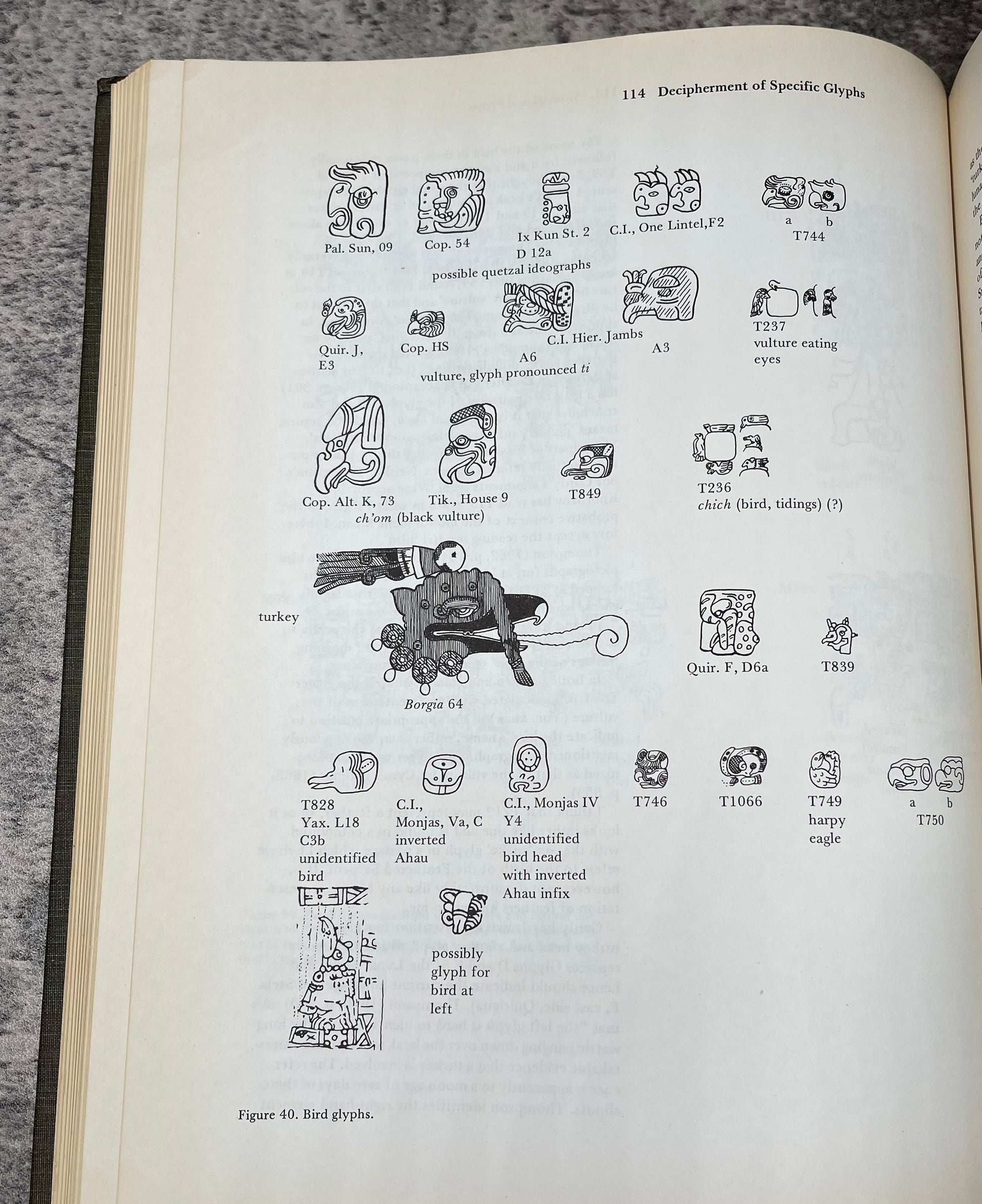 Maya Ari Script Normal Deciphering Maya Script / 1982 – Precious Cache