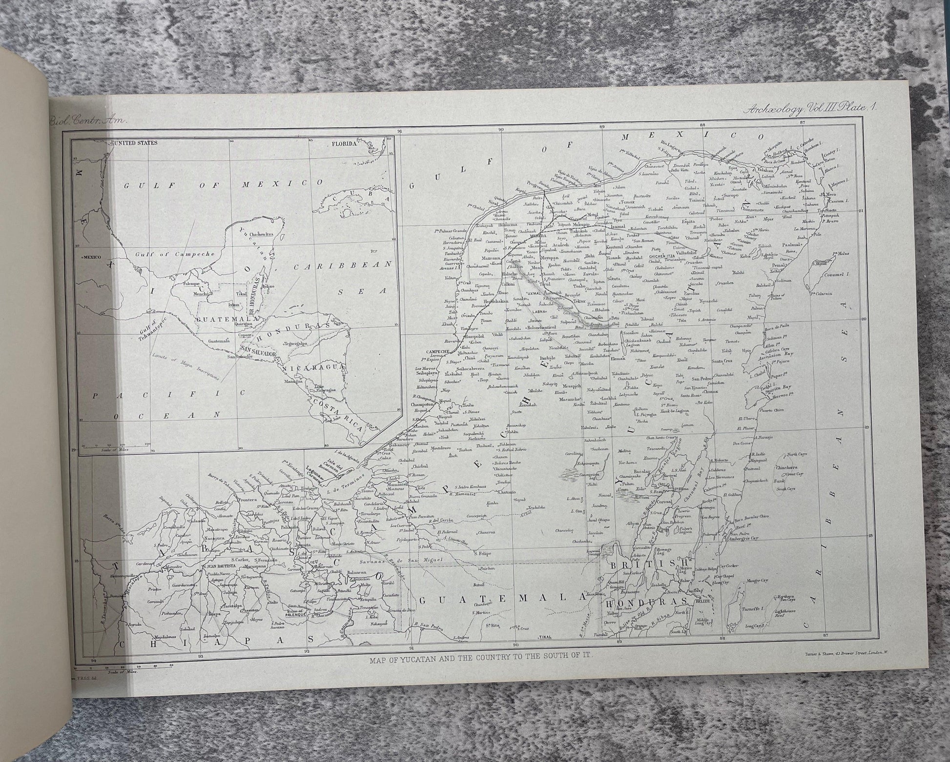 Biologia Centrali-Americana / 4 Volume Facsimile Edition of Plates / 1974 - Precious Cache
