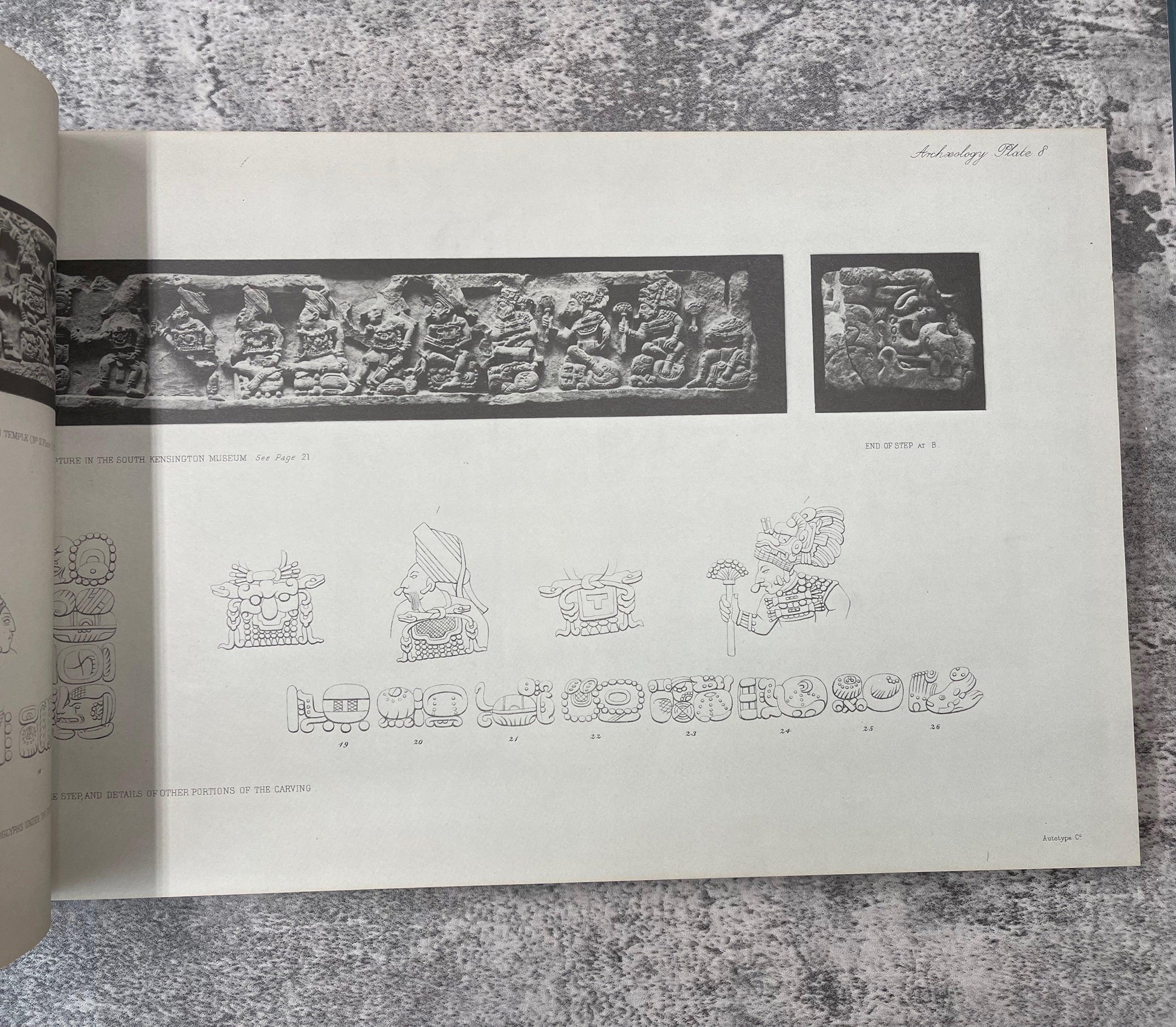 Biologia Centrali-Americana / 4 Volume Facsimile Edition of Plates / 1974 - Precious Cache