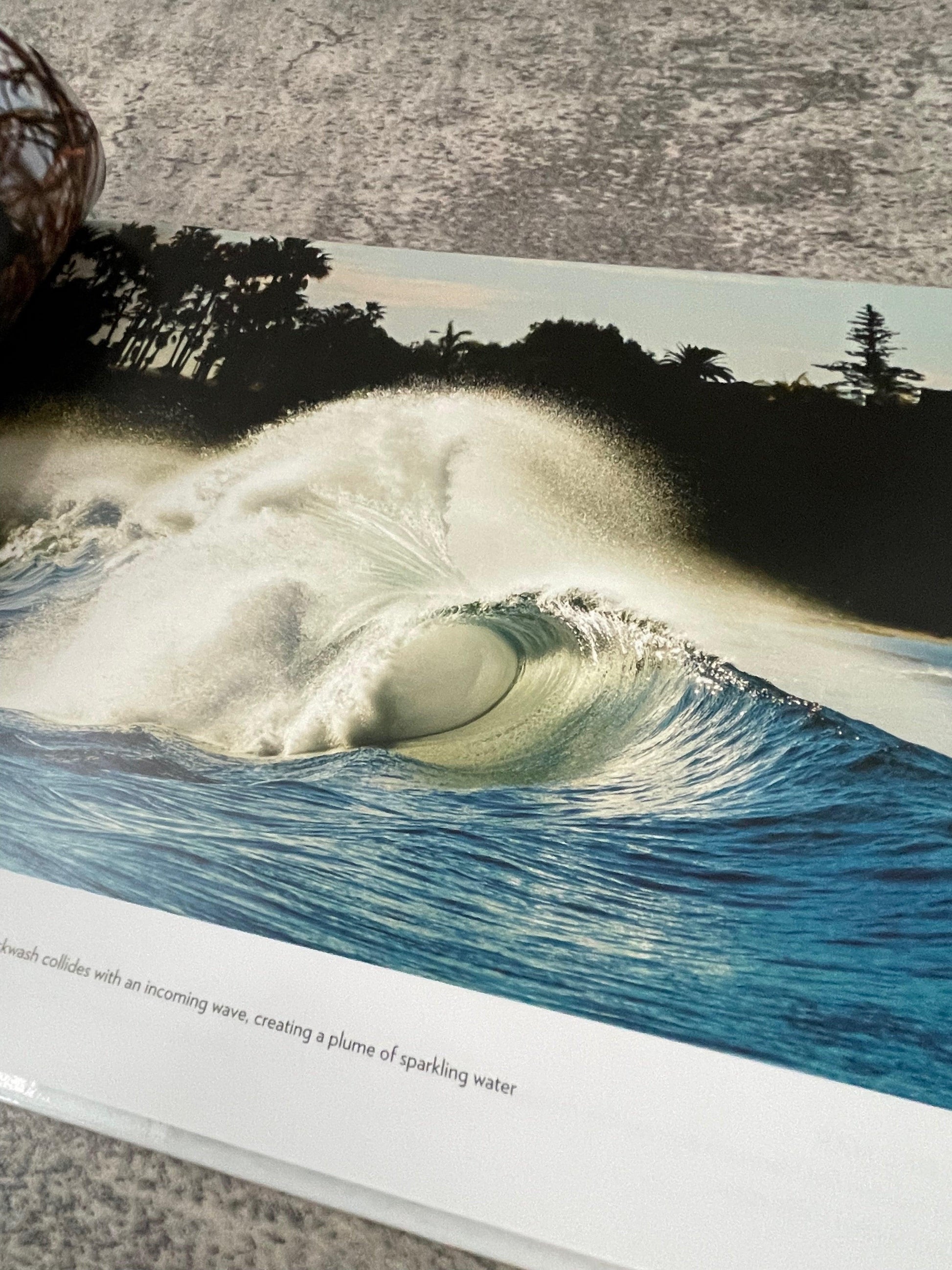 San Diego Through the Lens of Aaron Chang - Precious Cache