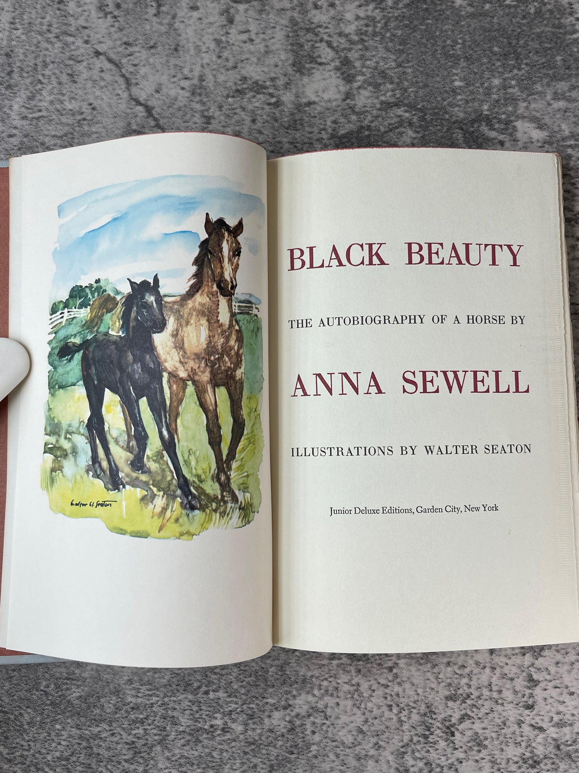 Black Beauty - Junior Deluxe Edition - Precious Cache
