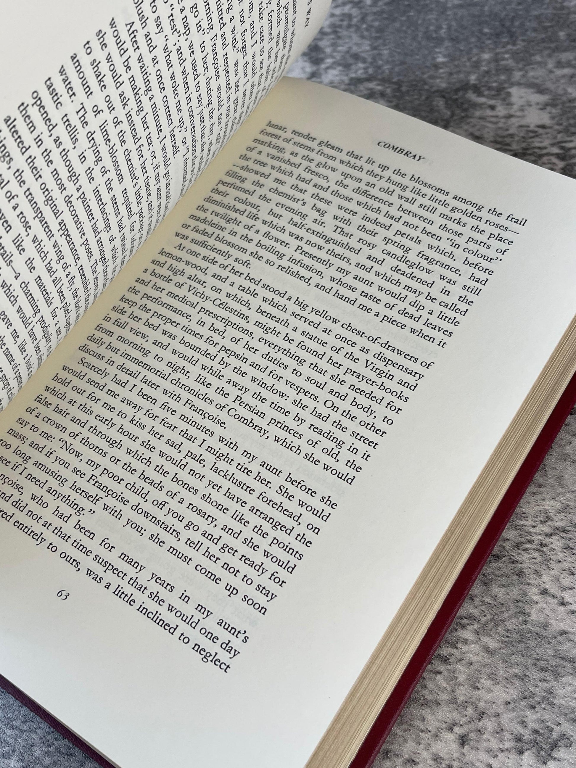 Swann's Way / The Franklin Library / Quarter Bound Leather / 1981 - Precious Cache