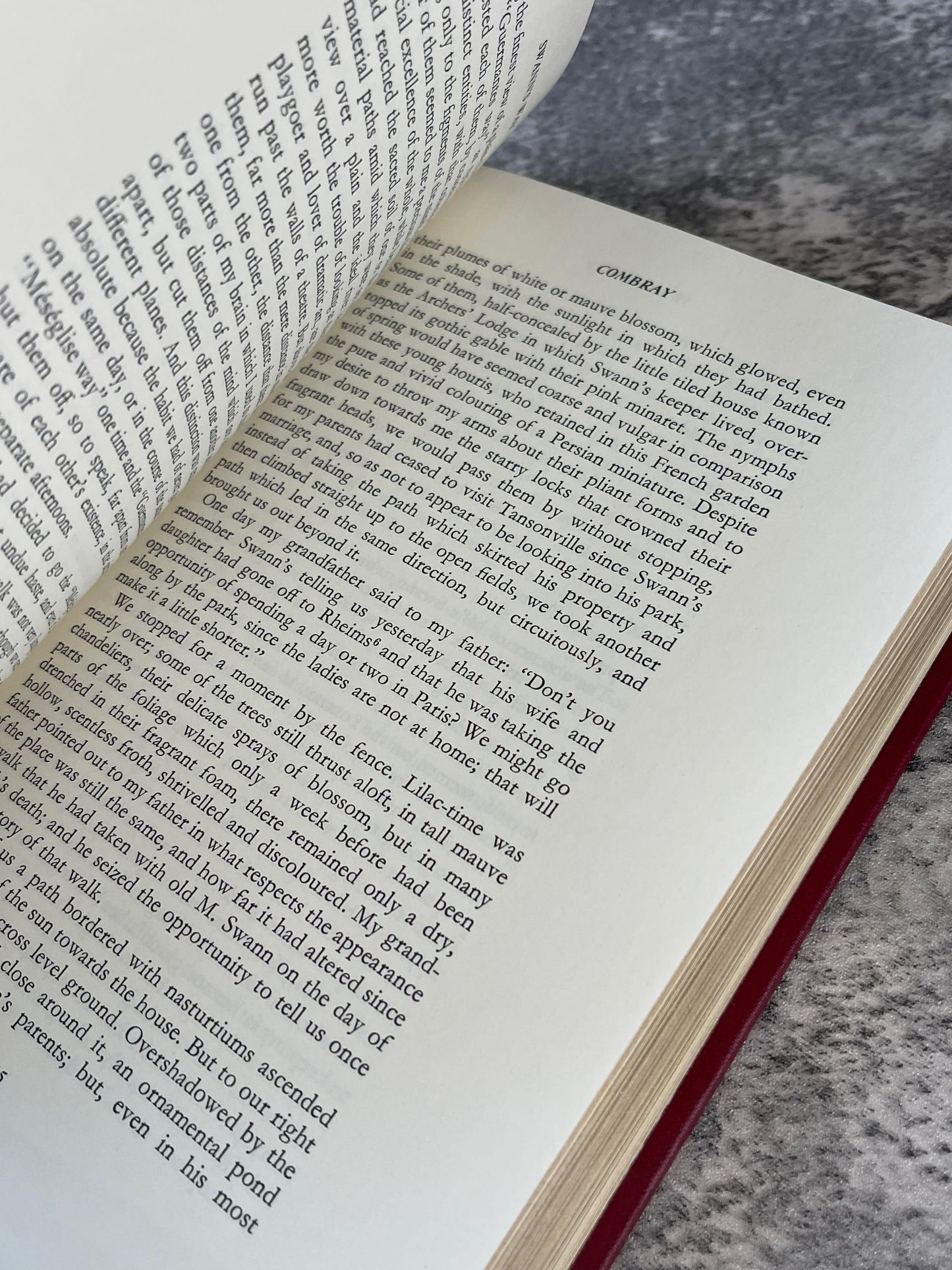 Swann's Way / The Franklin Library / Quarter Bound Leather / 1981 - Precious Cache