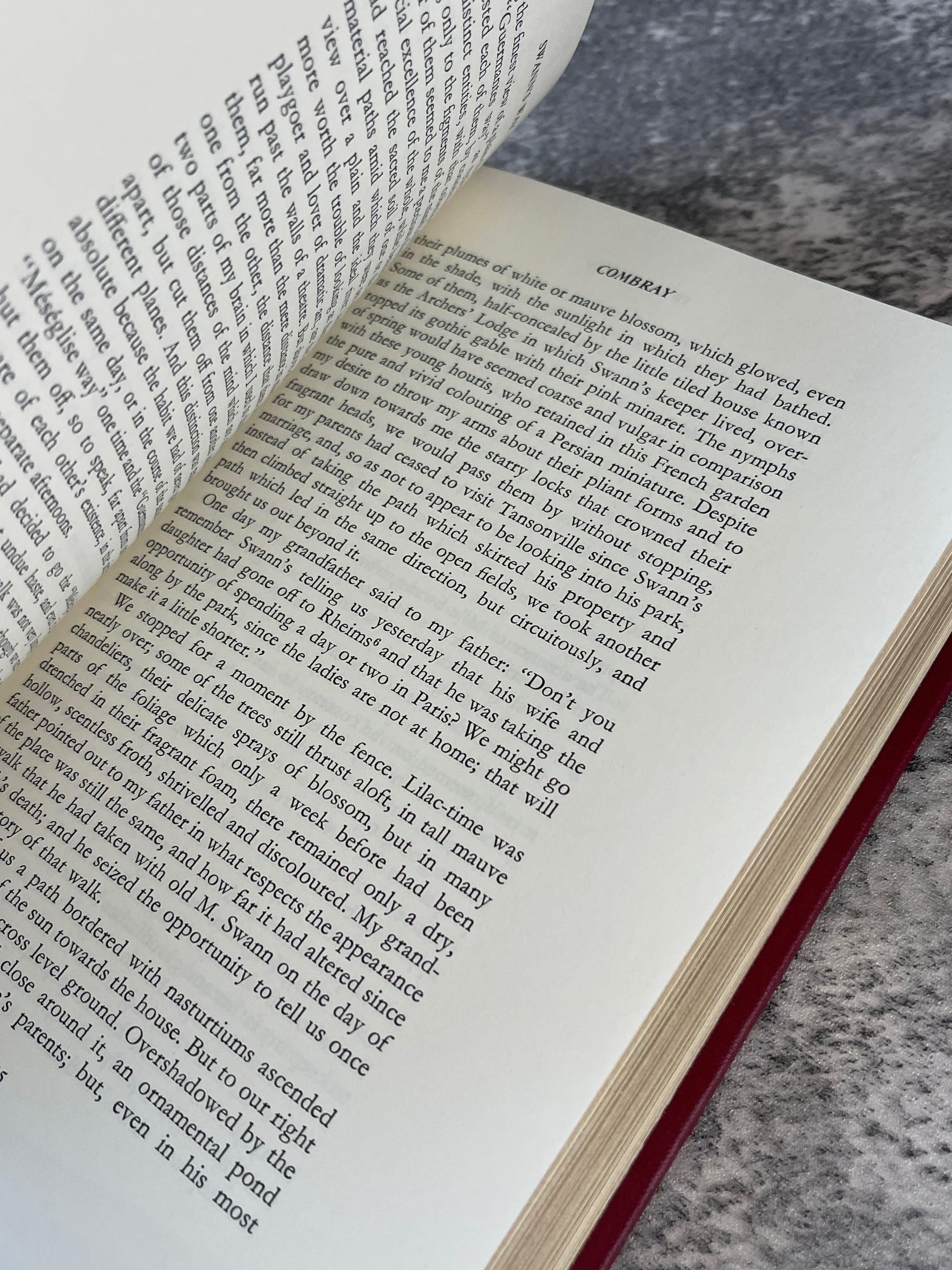 Swann's Way / The Franklin Library / Quarter Bound Leather / 1981 - Precious Cache